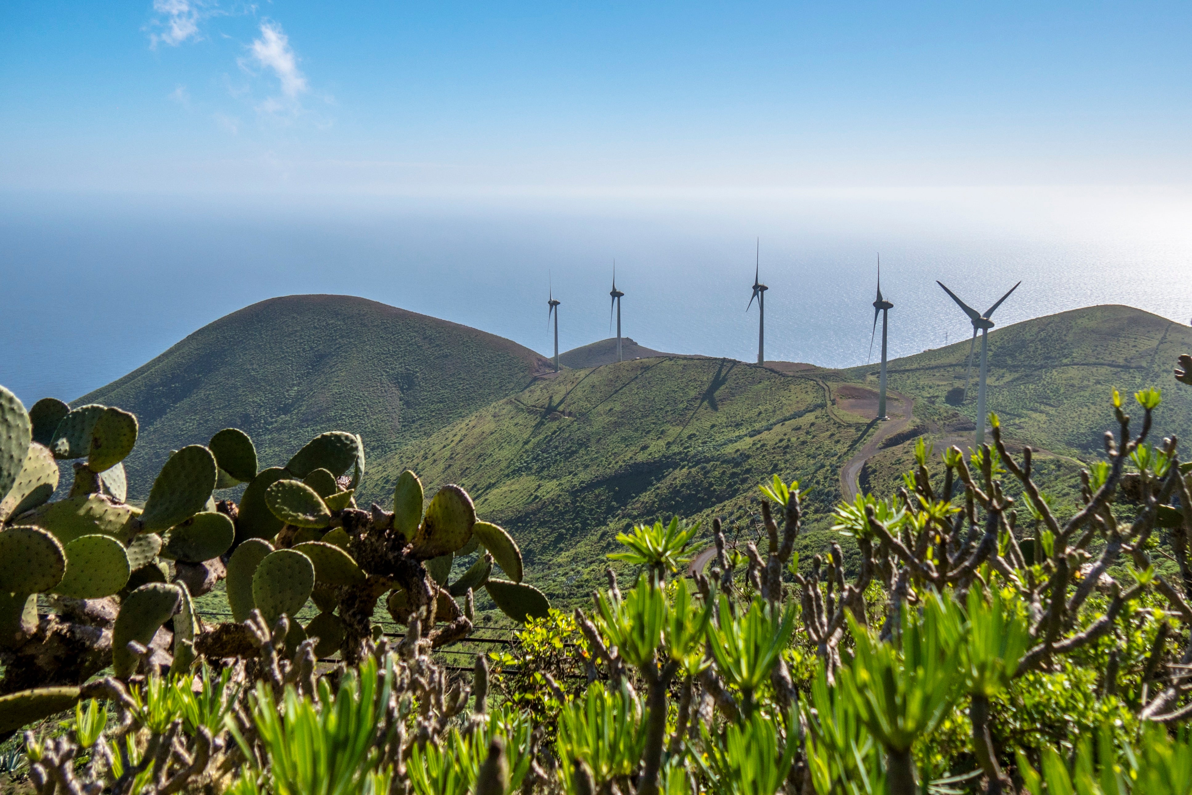 The Viento wind farm