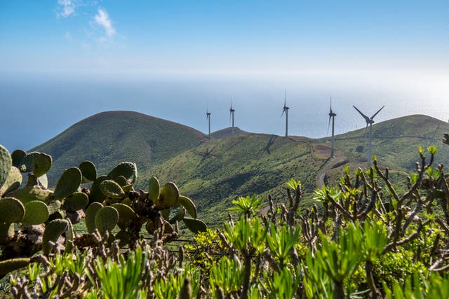 <p>The Viento wind farm</p>