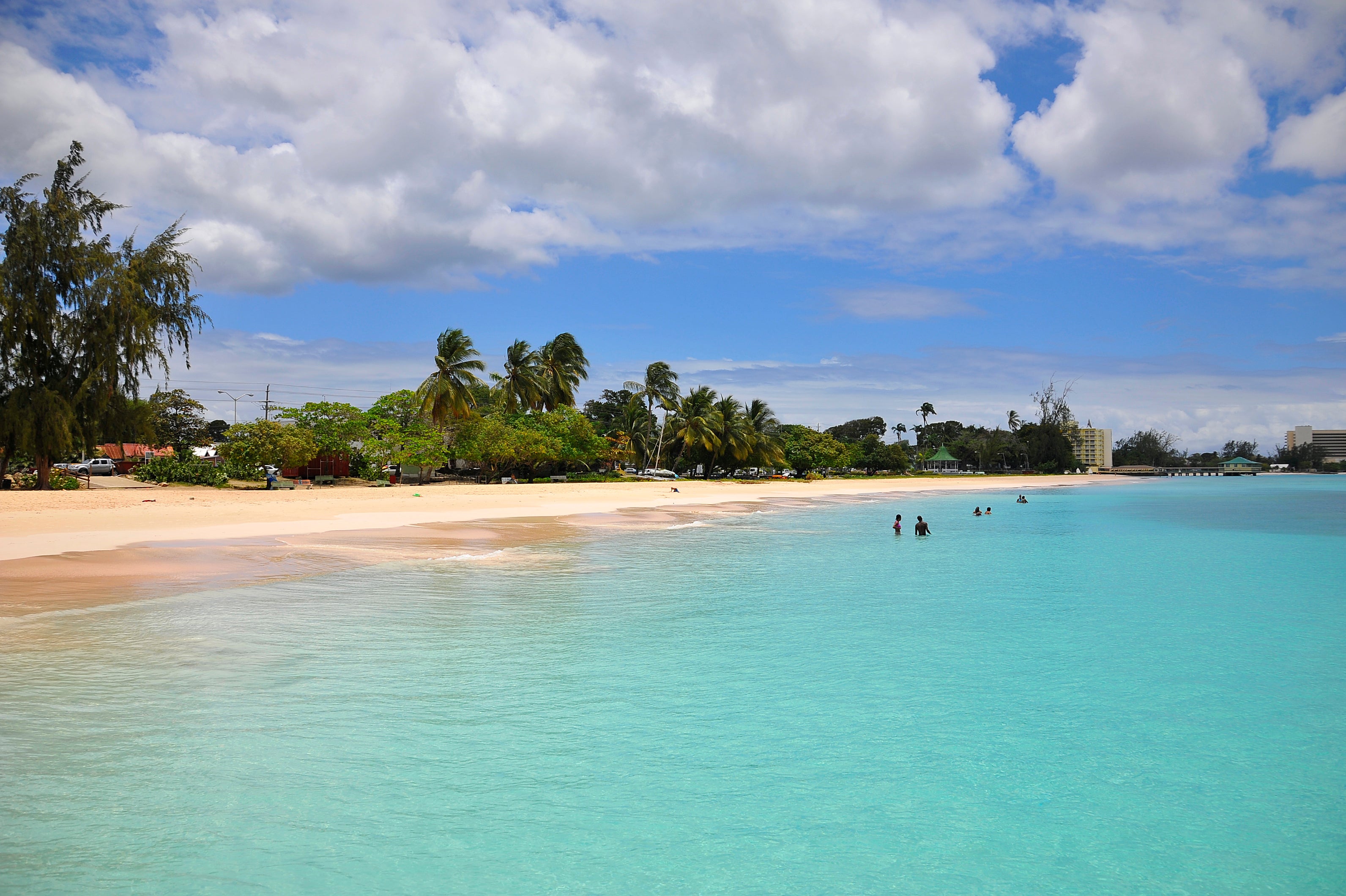 The wreck-packed waters of Carlisle Bay make this a great spot for a sea safari