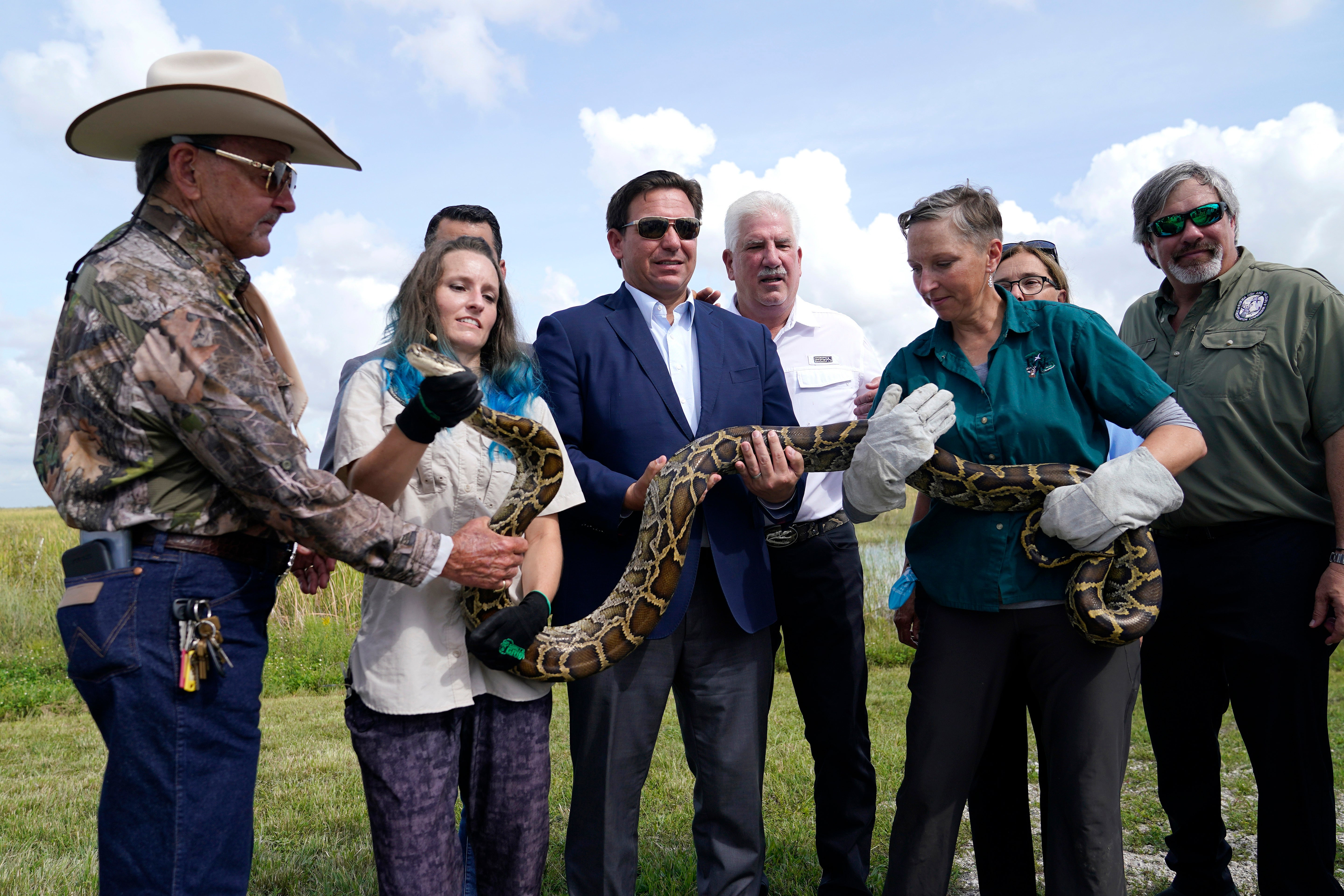 Burmese python hunt in Florida Everglades slated for August