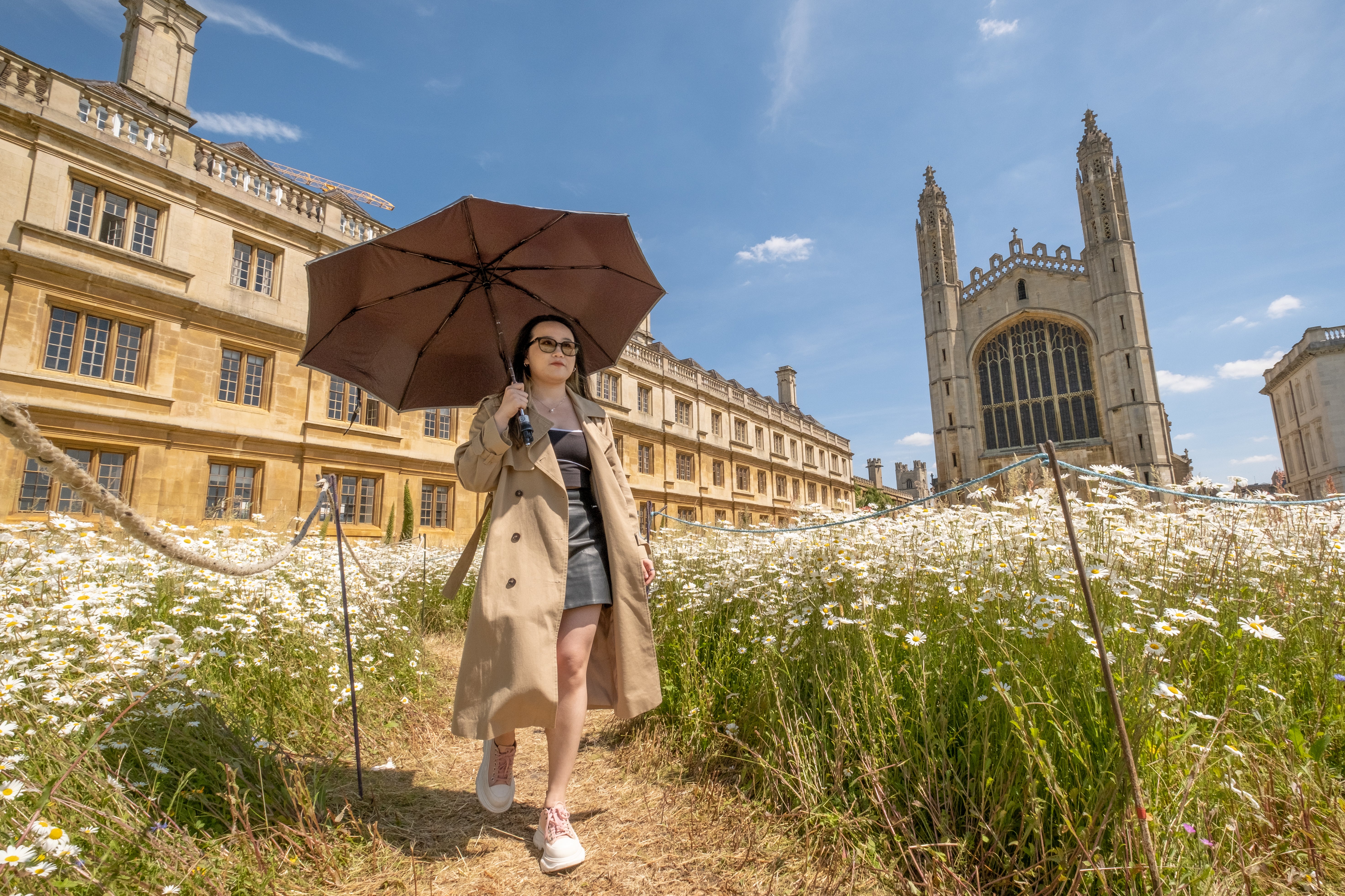 A woman walks trough Kings Meadow, Cambridge in full bloom on Thursday