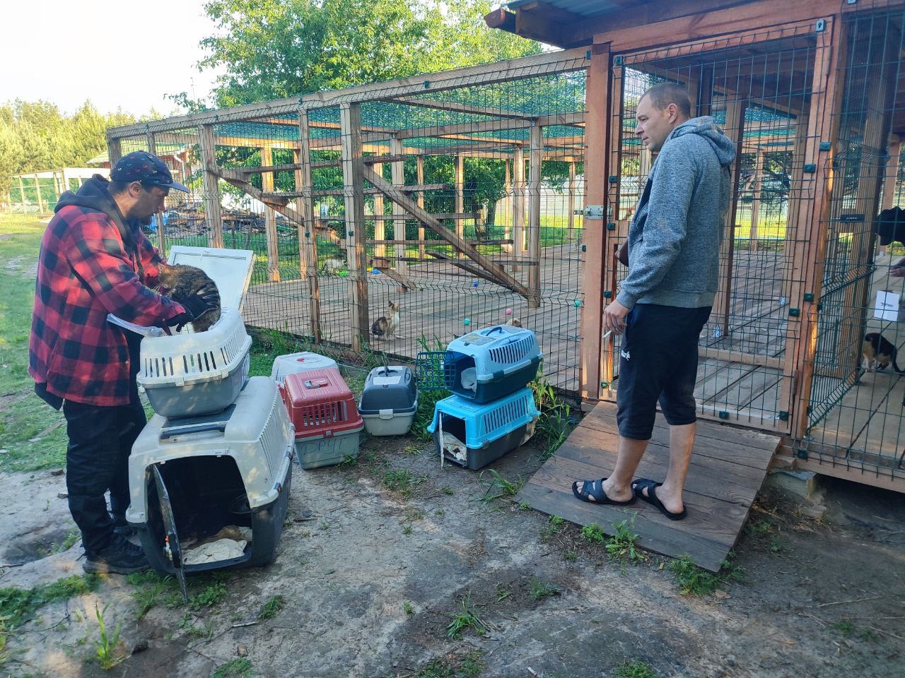 An animal charity arrives to rescue the cats and dogs in Siversk, eastern Ukraine