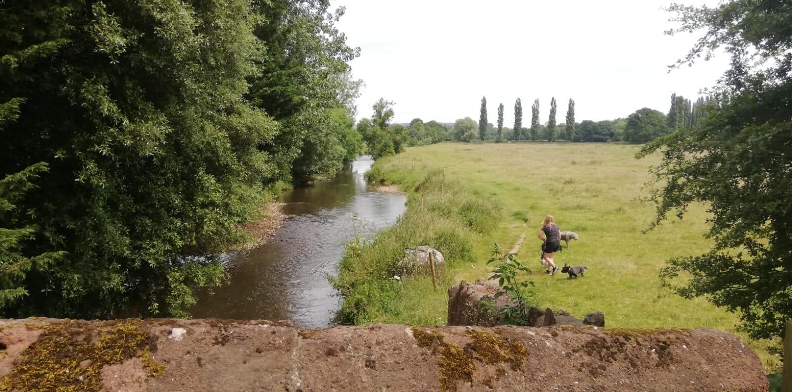 The River Culm in Devon