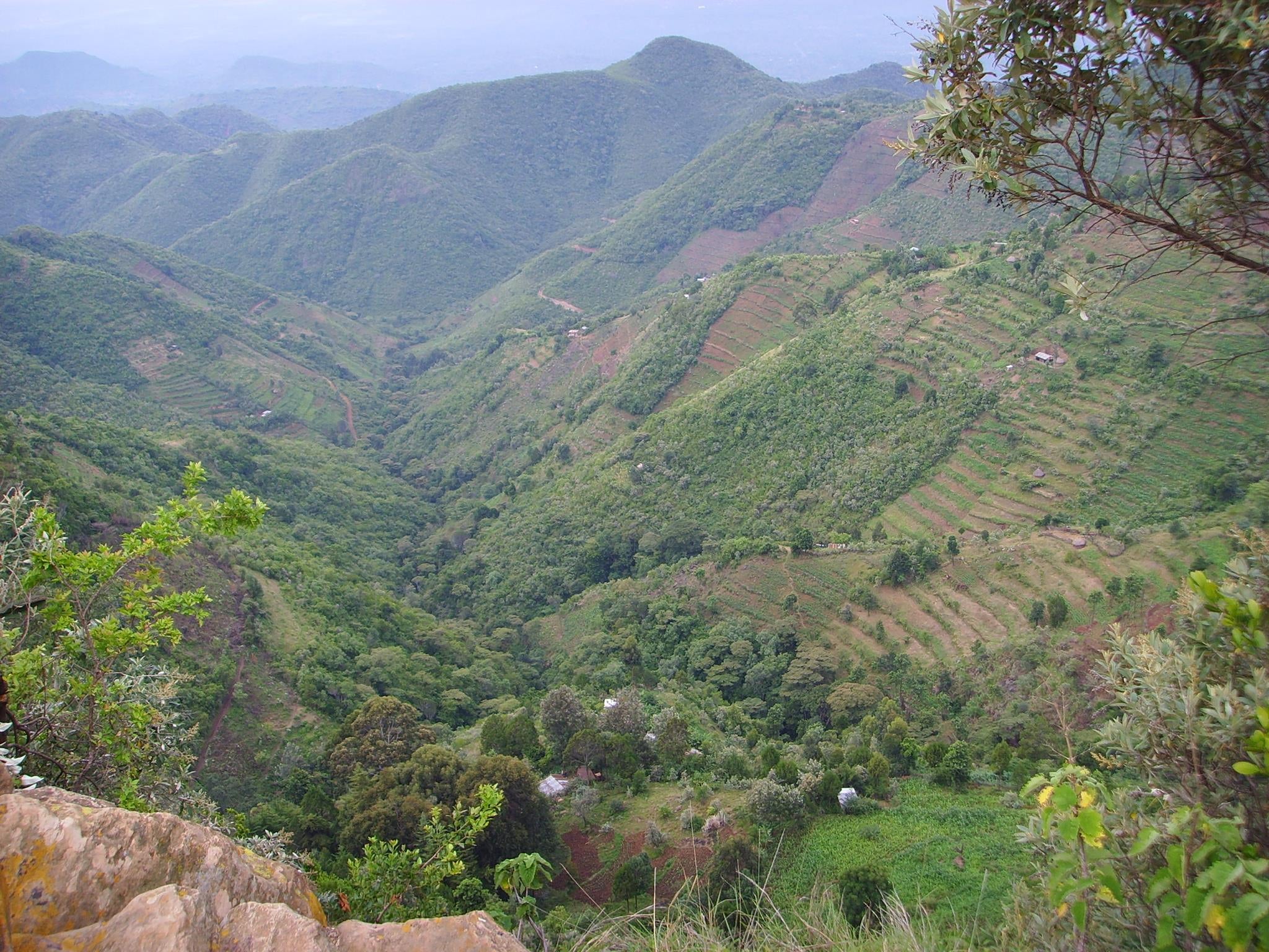 Terraced agriculture systems in Kenya, as MPs warned nature had ‘continued its perilous decline globally’ (Sarah Ivory/Pennsylvania State University/PA)