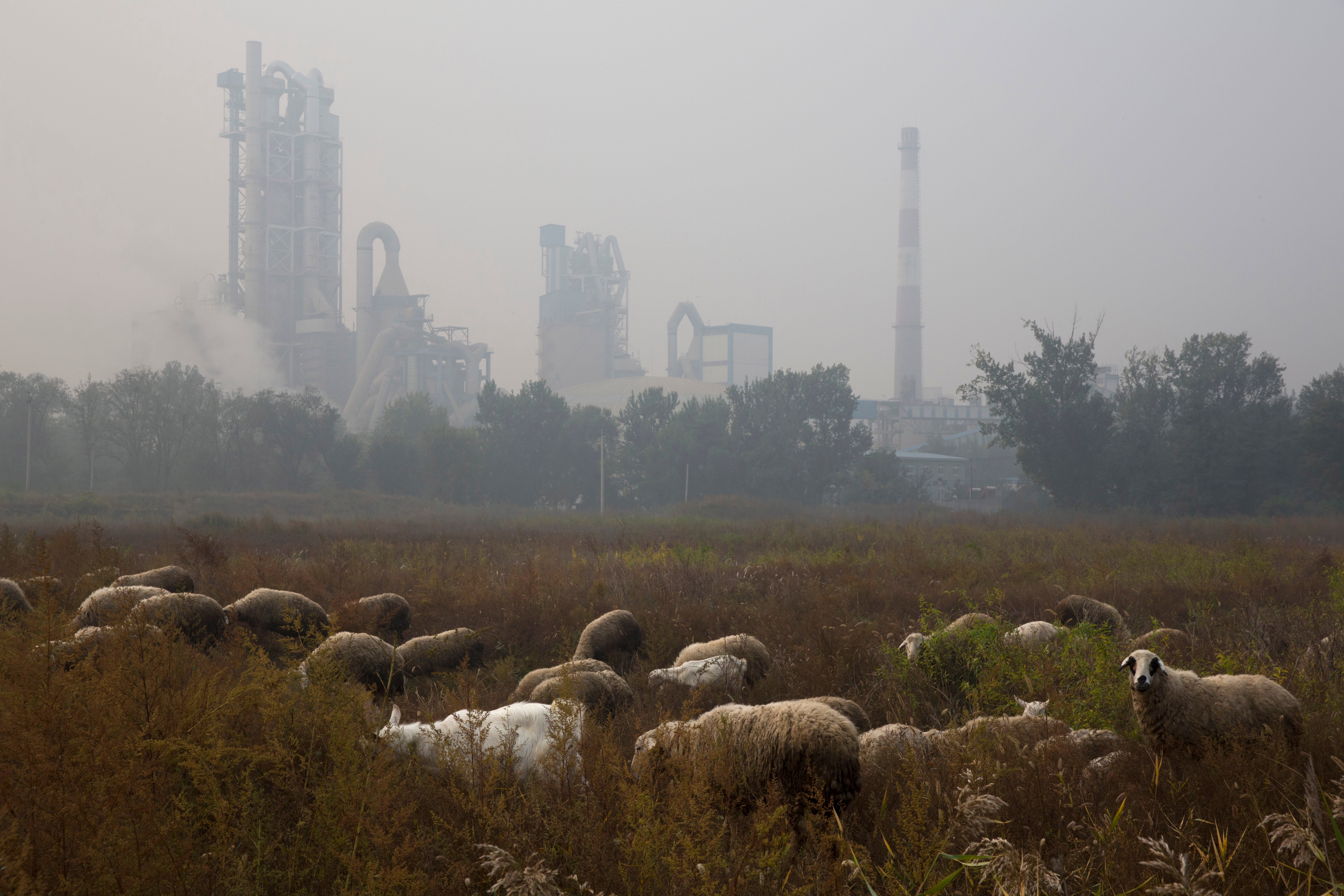 Climate Cement Emissions