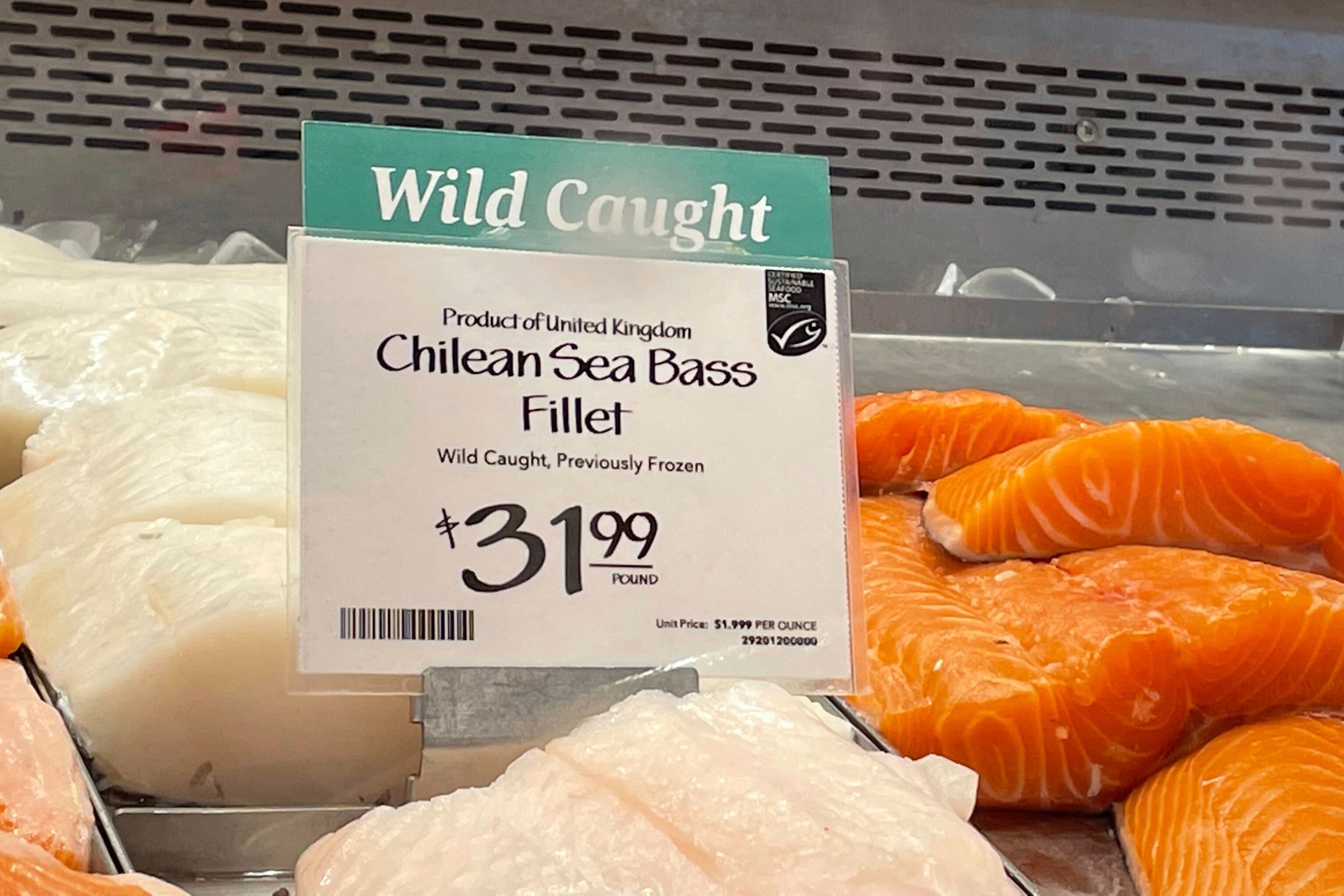 Ocean-Fisheries-Antarctic Fish Fight