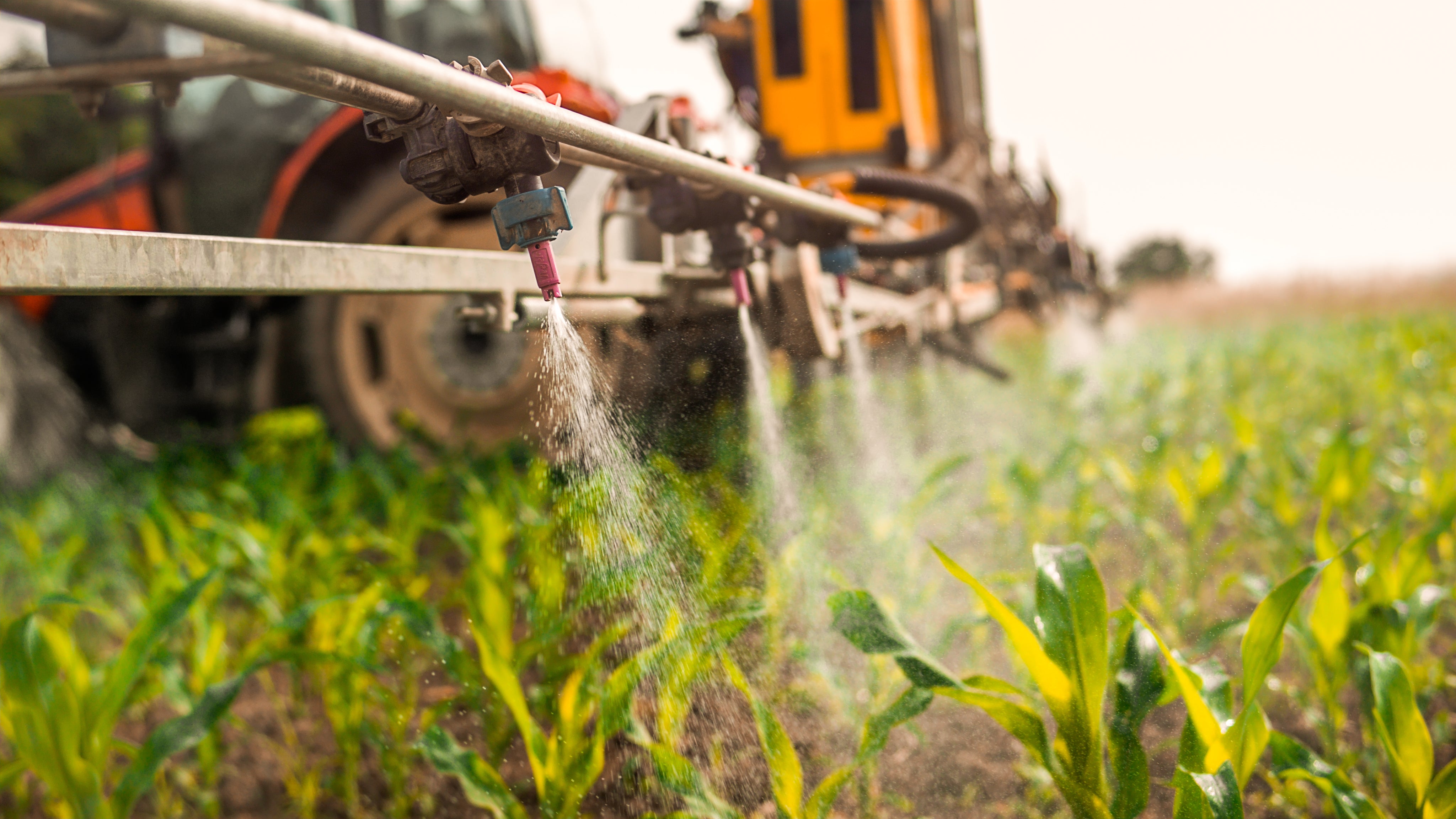 Pesticide is sprayed on crops in Slovenia in this undated photo.