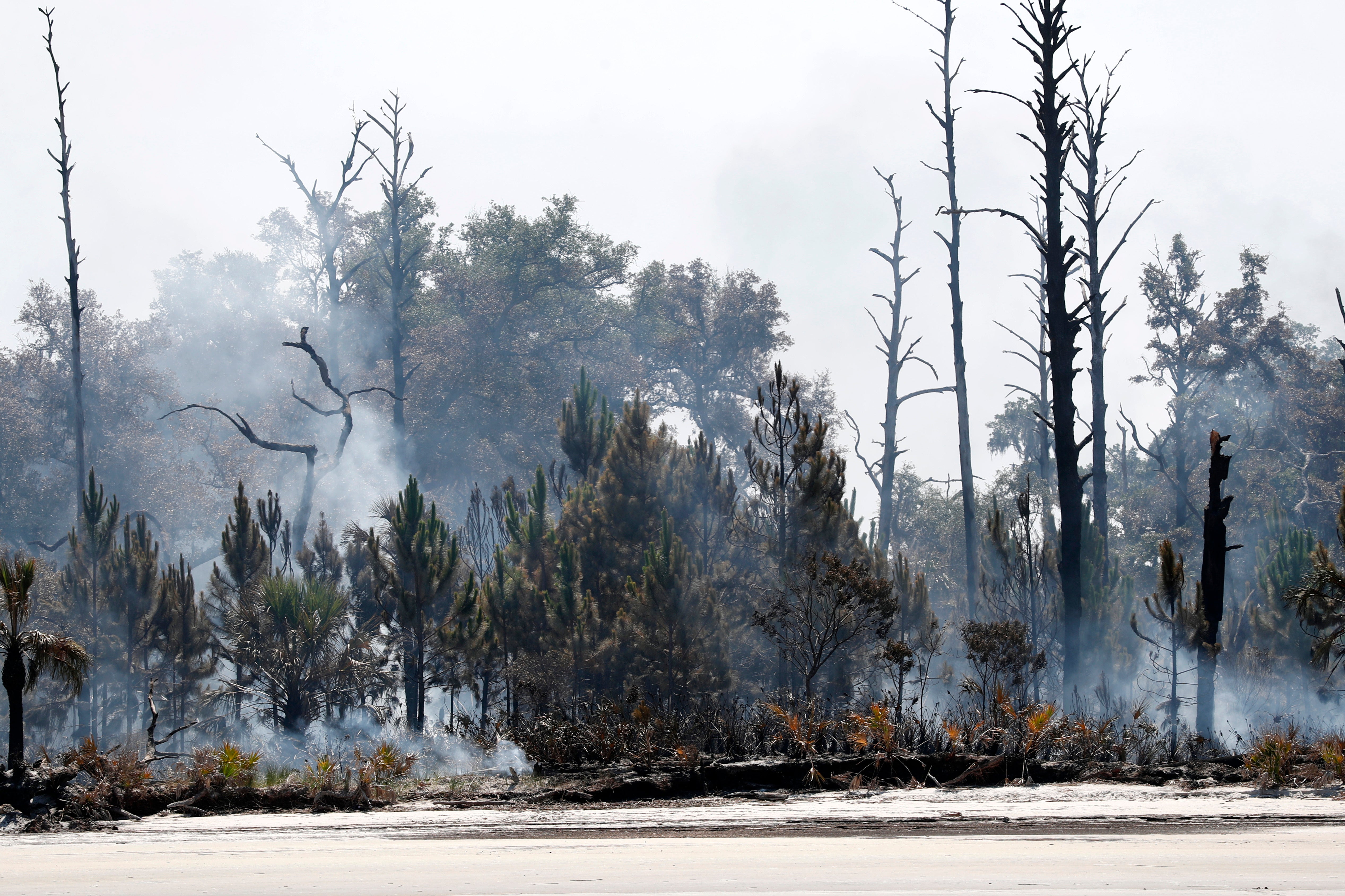 Island Wildfire-Georgia