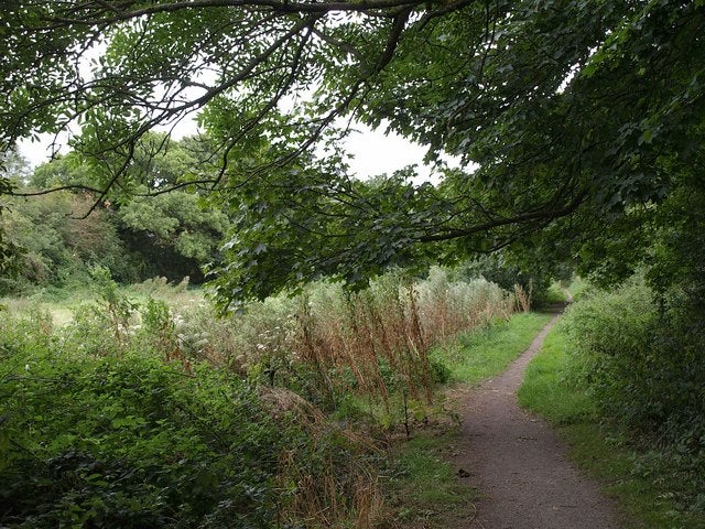 The attacks have been reported in the Hackney Marshes area