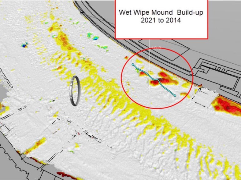 Scan showing the size of the fatberg