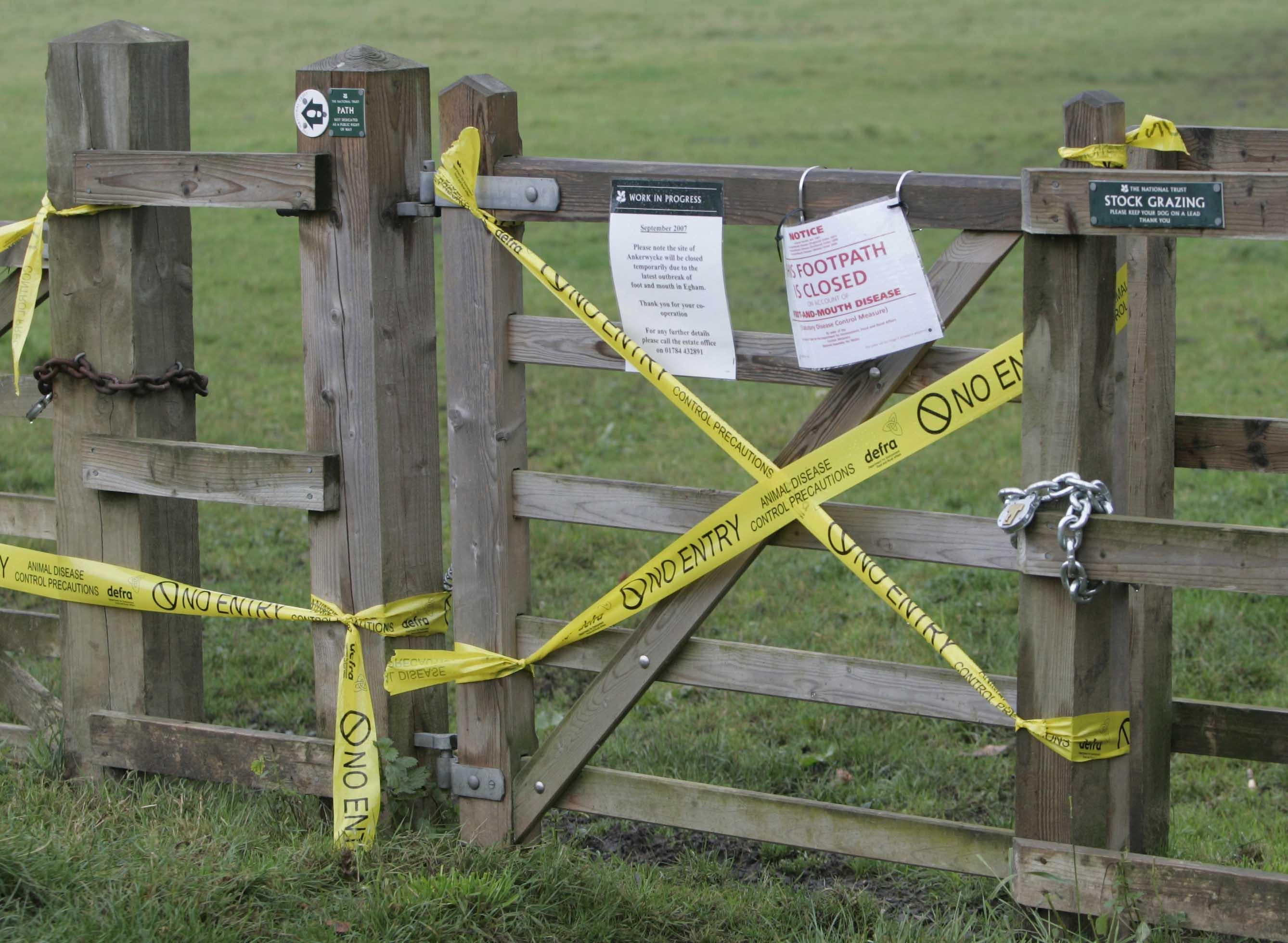 Foot and mouth has been ruled out after a suspected case was investigated at a pig farm in Norfolk