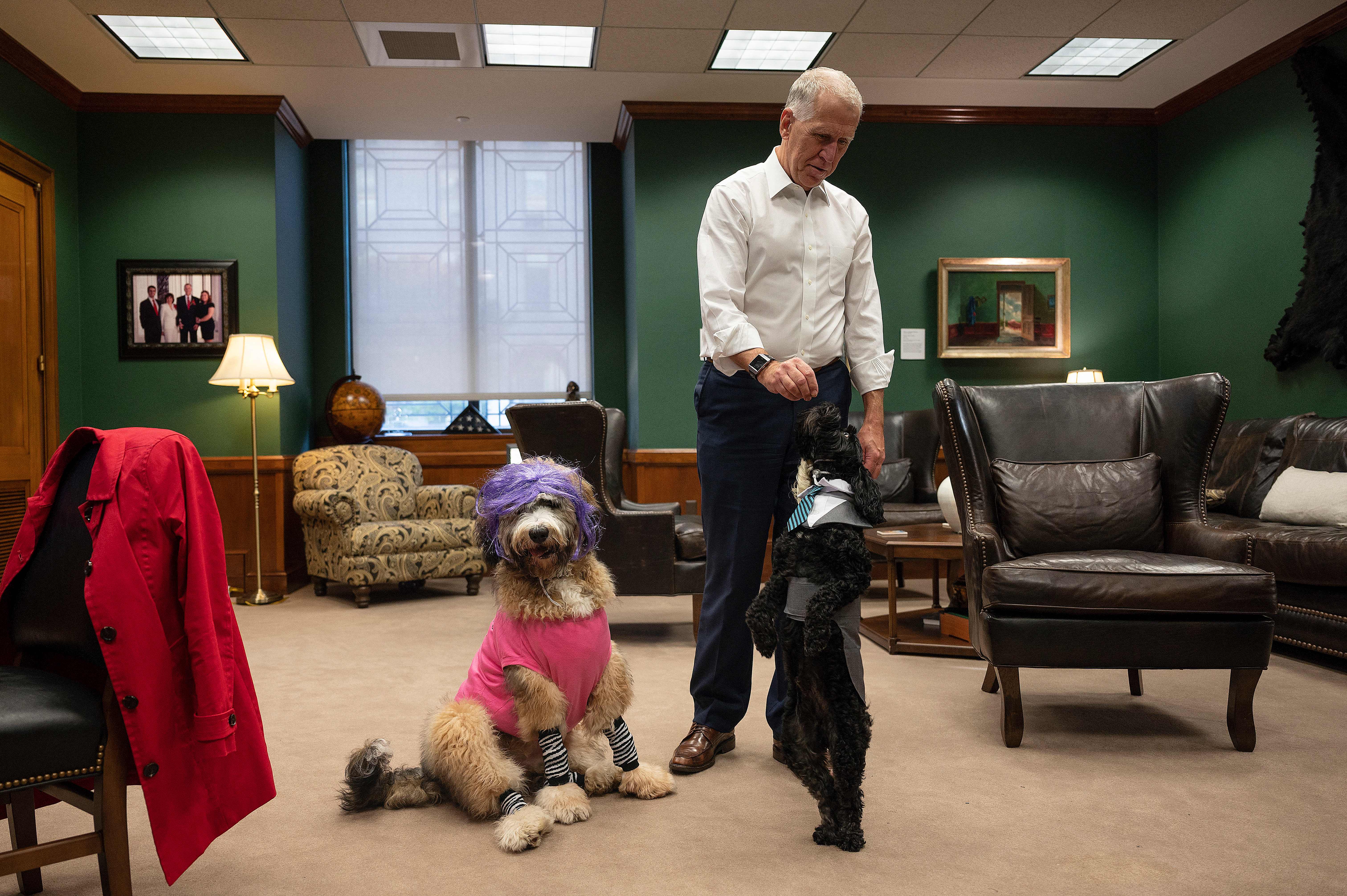 Thom Tillis famously dressed up his dogs as Mitch McConnell and Kyrsten Sinema one Halloween