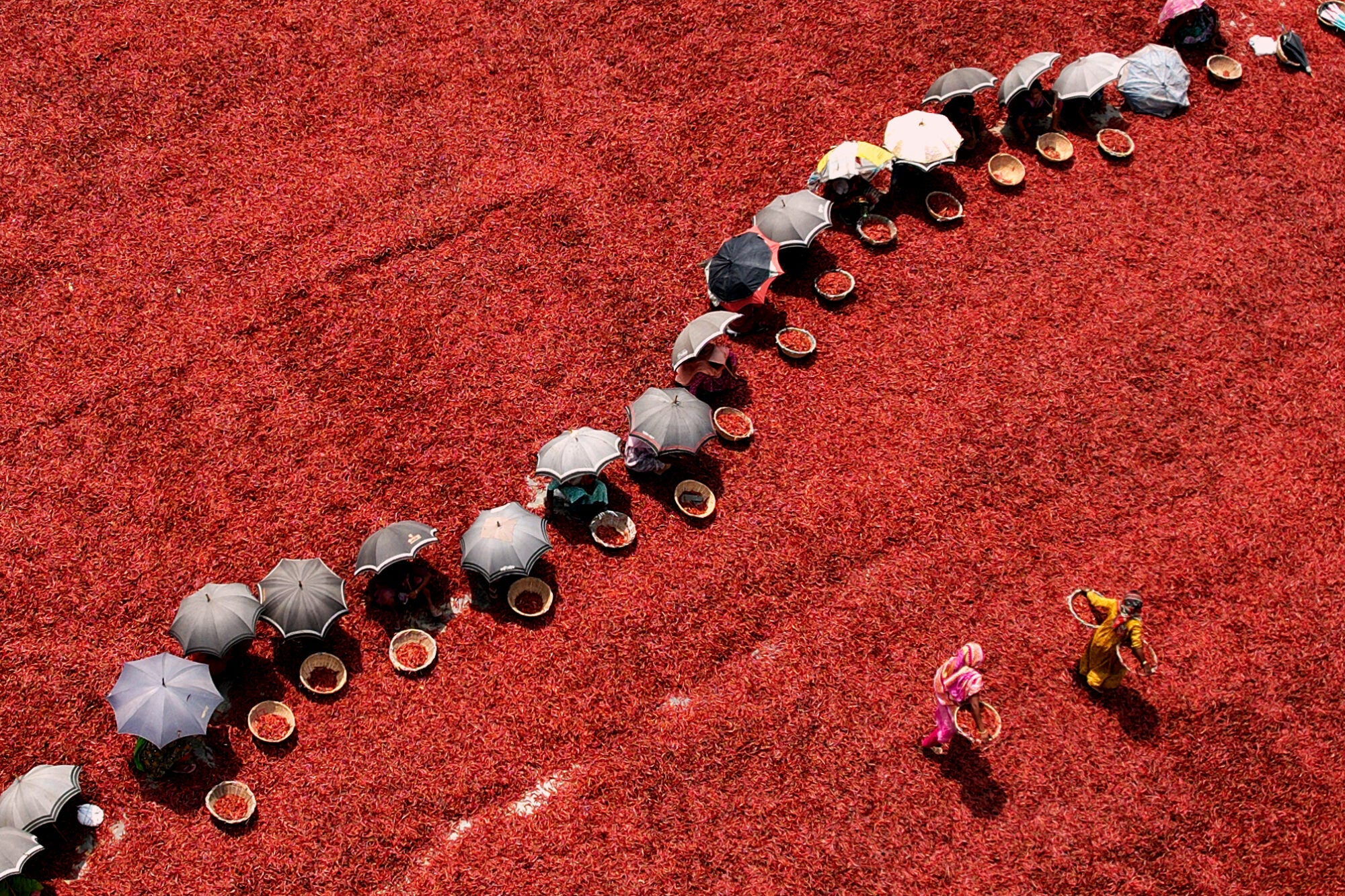 ’Red Pepper Picking’ is in the ‘Place’ category