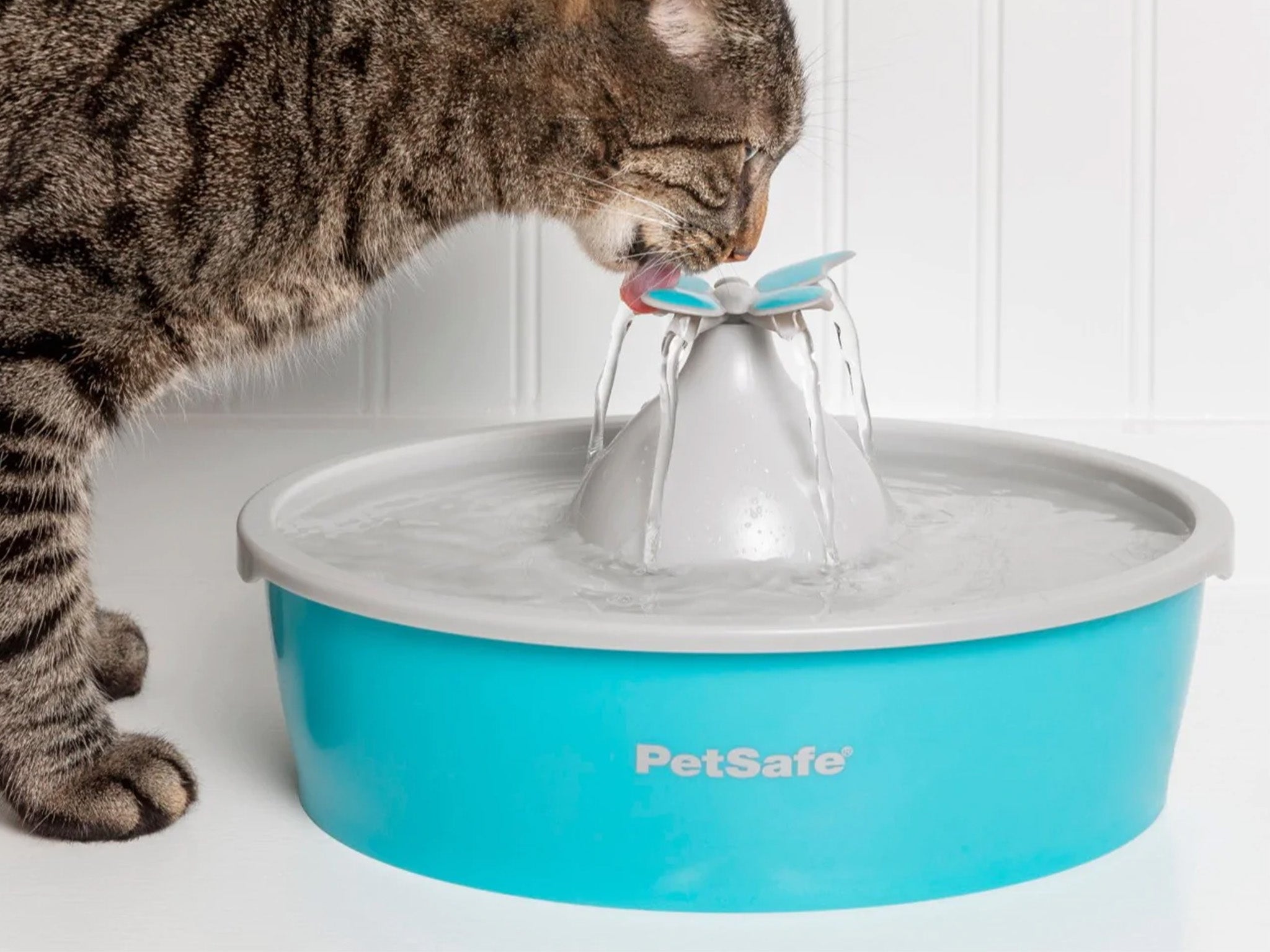 PetSafe drinkwell butterfly pet fountain  