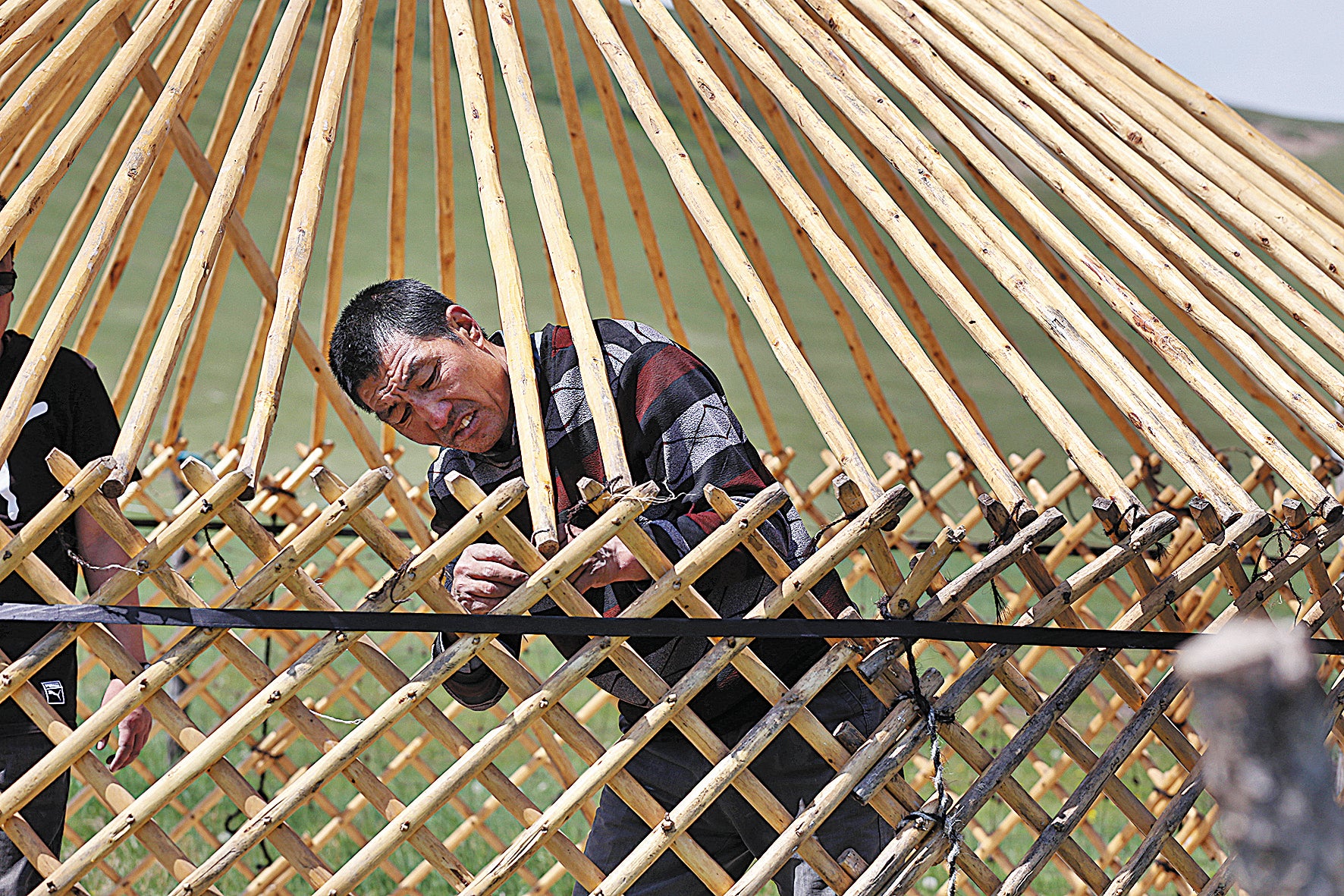 A herdsman builds a yurt. Scientifically designed grazing patterns ensure sustainable development of the grasslands