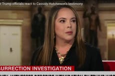 Cassidy Hutchinson’s life will ‘never be the same’ after bombshell Jan 6 testimony, says ex-Trump official