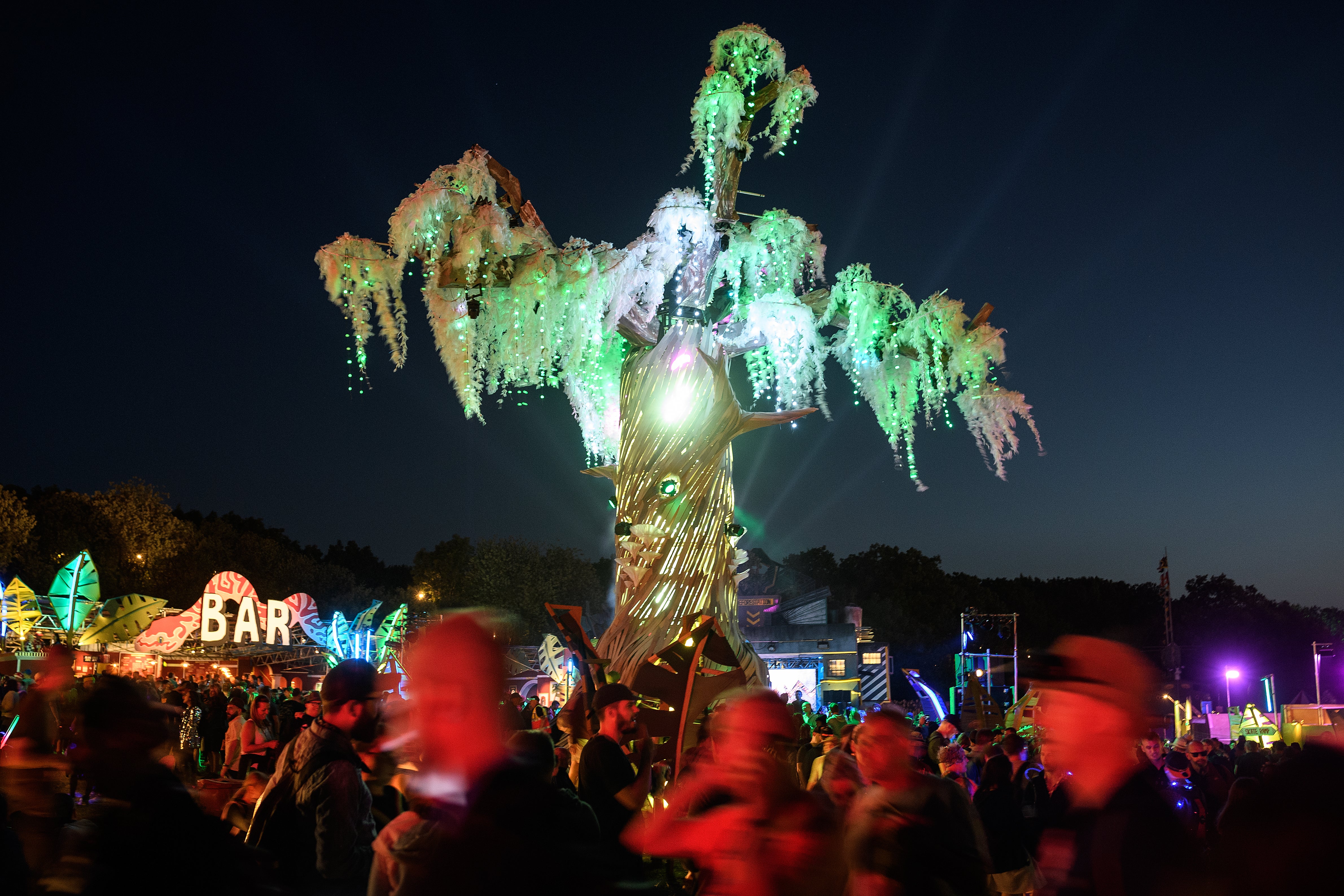 The Greenpeace rave tree in 2019