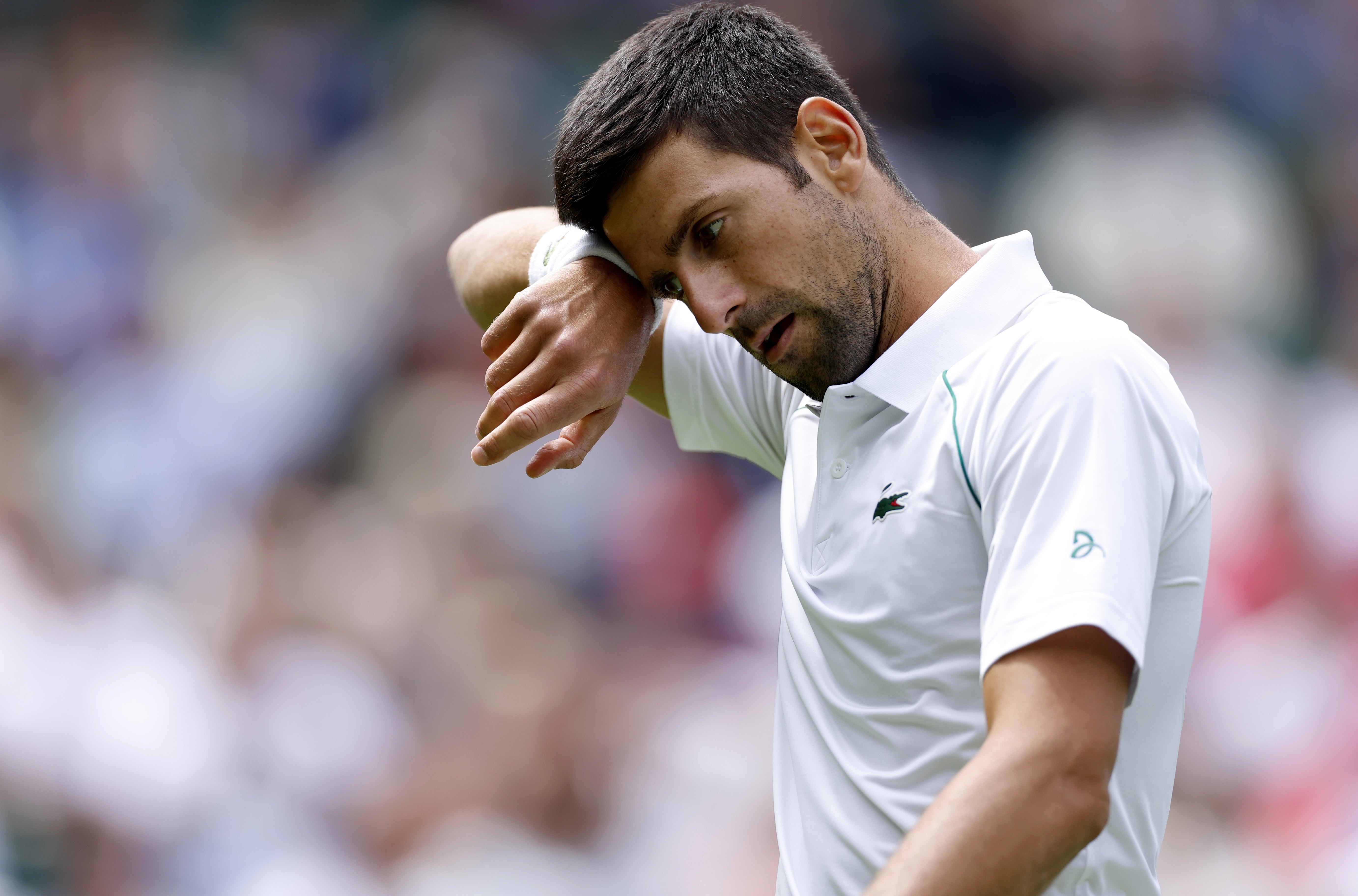 Novak Djokovic in action against Thanasi Kokkinakis on Centre Court (PA)