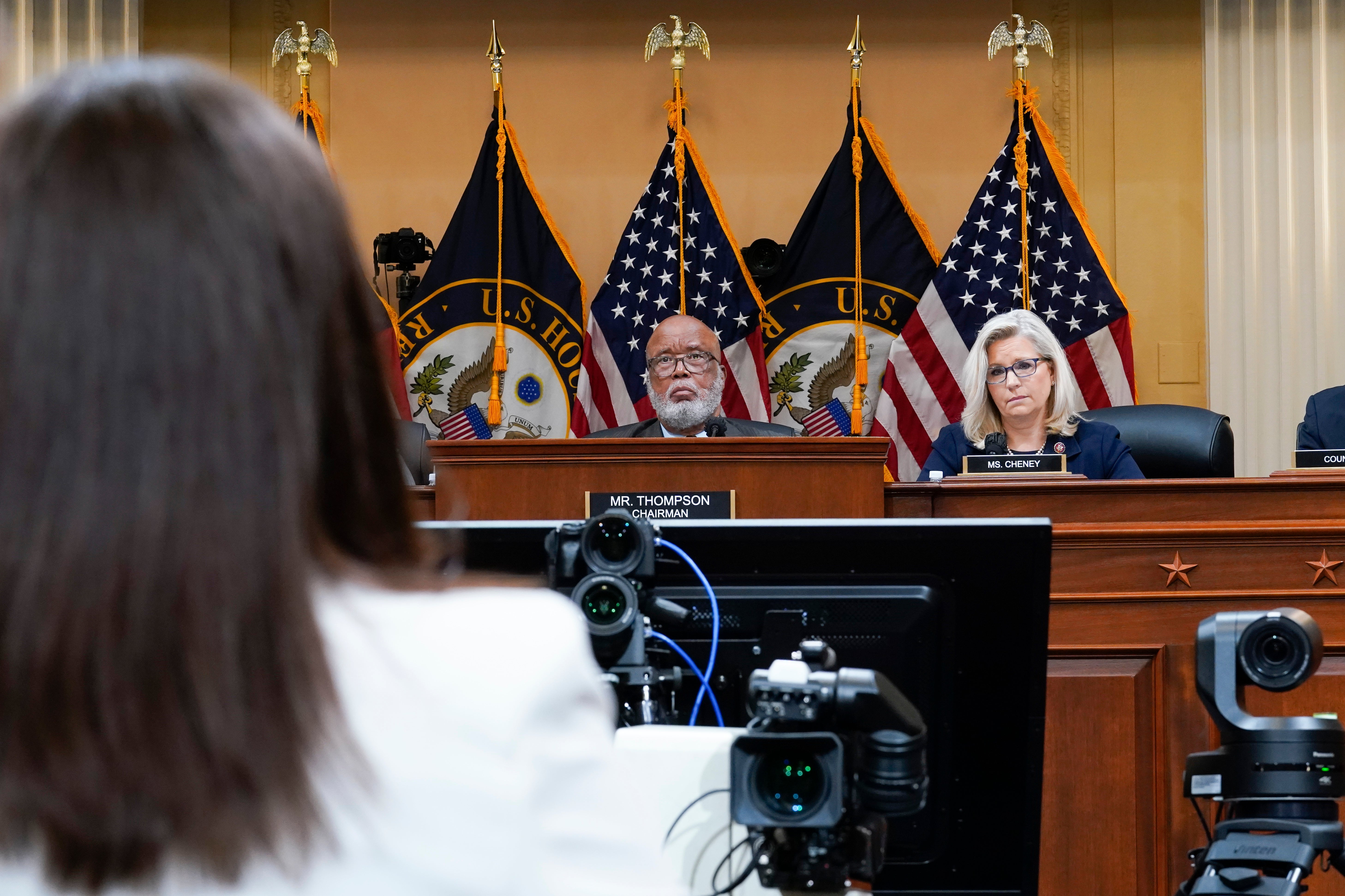 Capitol Riot Investigation