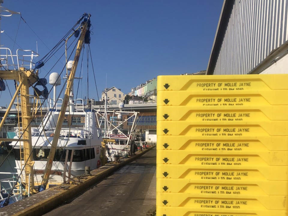 The catch is loosly grouped while still on the boat, before going through machines in the market and being labelled ahead of the digital auction