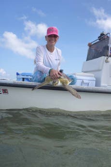 Meet the marine biologist whose video pulling a straw from a sea turtle’s nostril sparked a global movement