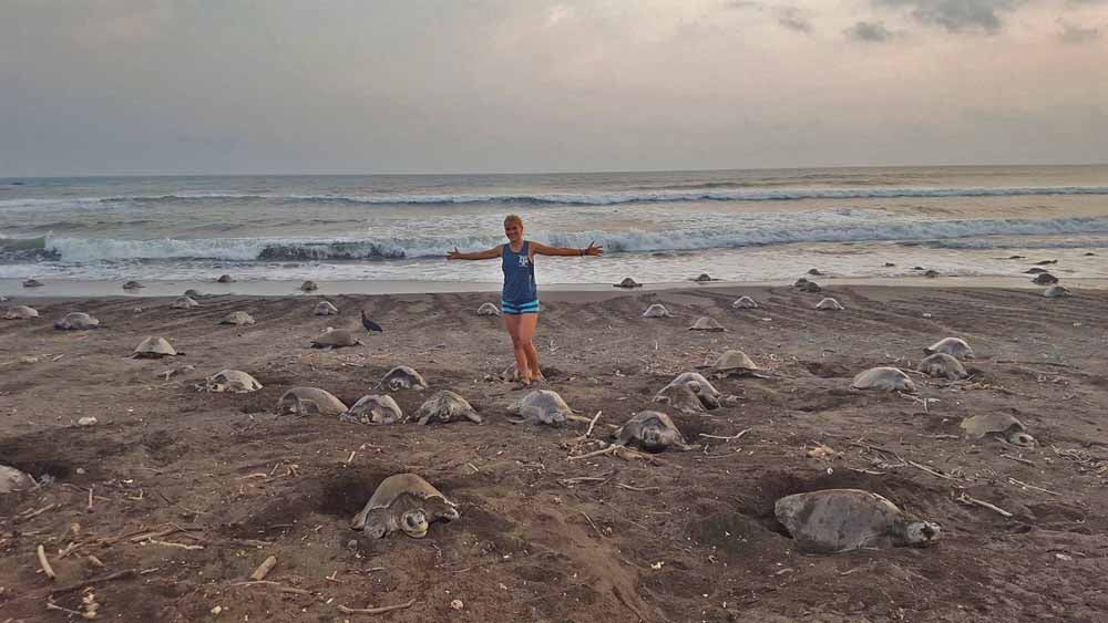 Christine has dedicated her life to protecting sea turtles. (Collect/PA Real Life)