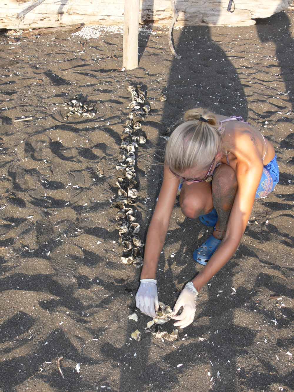 Christine pictured here excavating a turtle nest. (Collect/PA Real Life)