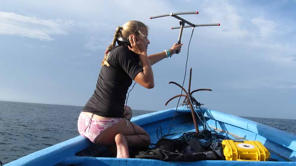 Christine pictured listening to tagged turtles. (Collect/PA Real Life)