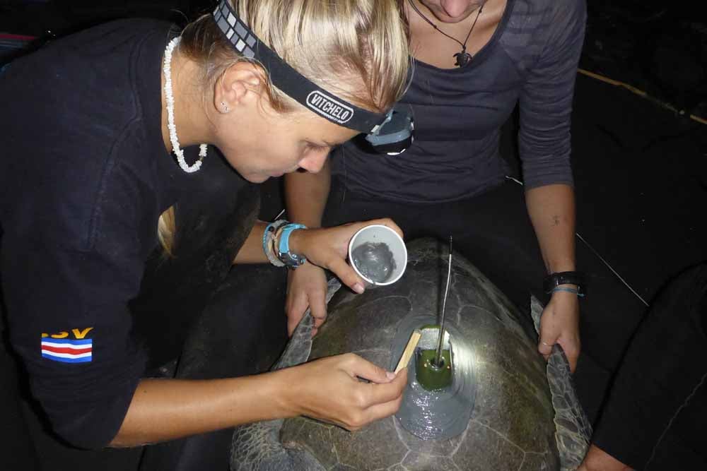 Christine pictured here installing a satellite tracker. (Collect/PA Real Life)