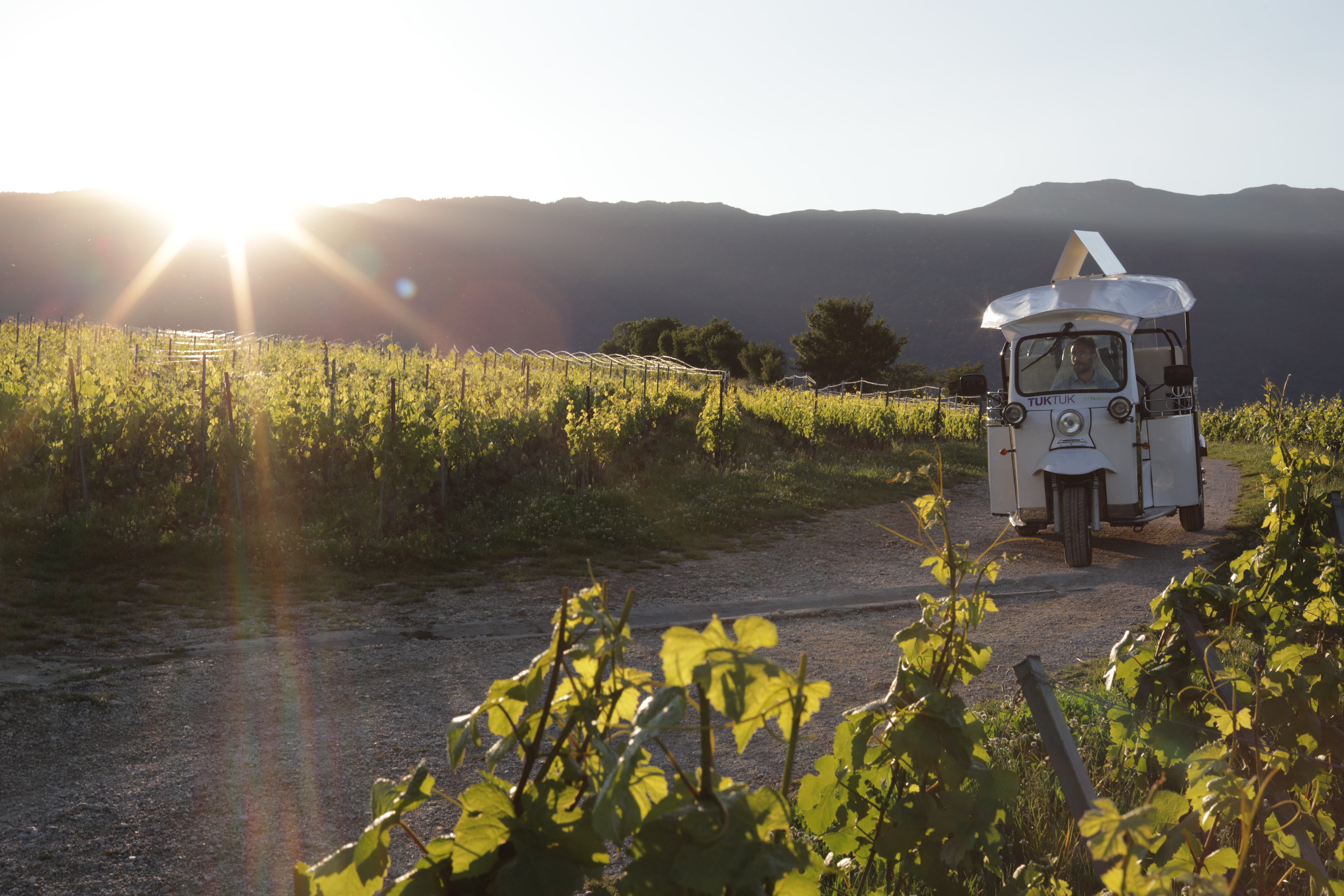 The wine tuk-tuk tour offers a unique experience