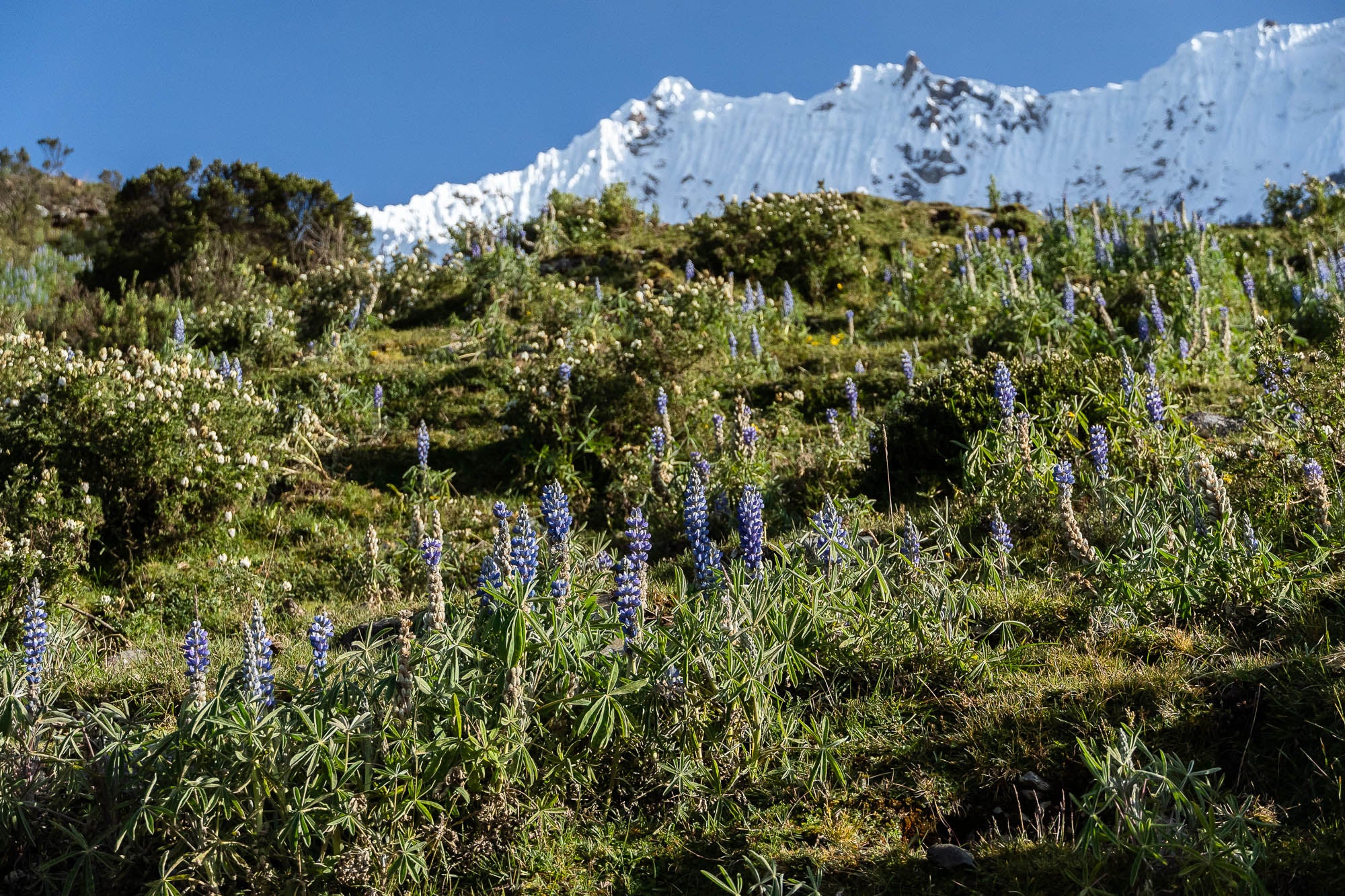 Unspoilt nature along the Santalkay Trail