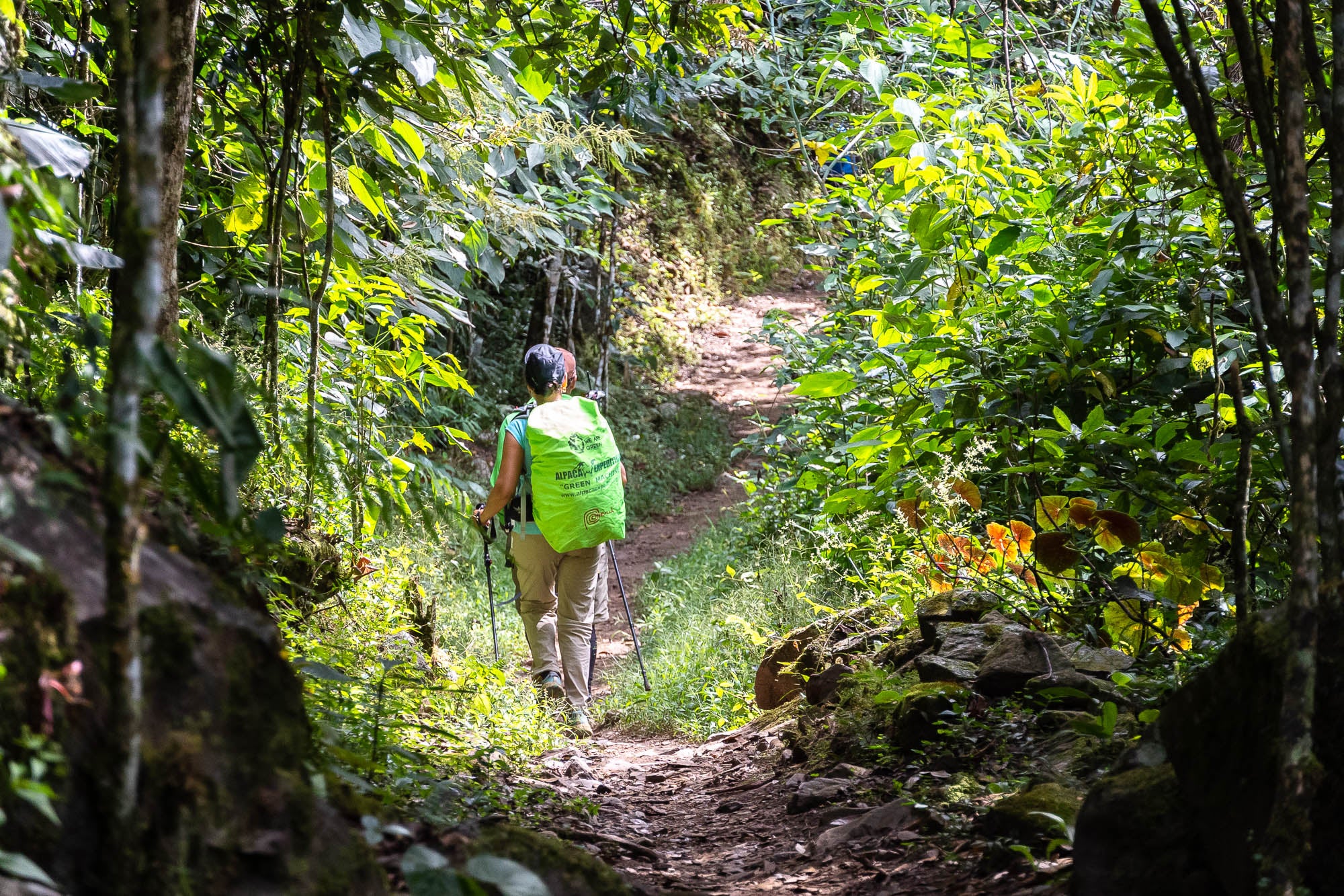 An explorer on the Salkantay Trail