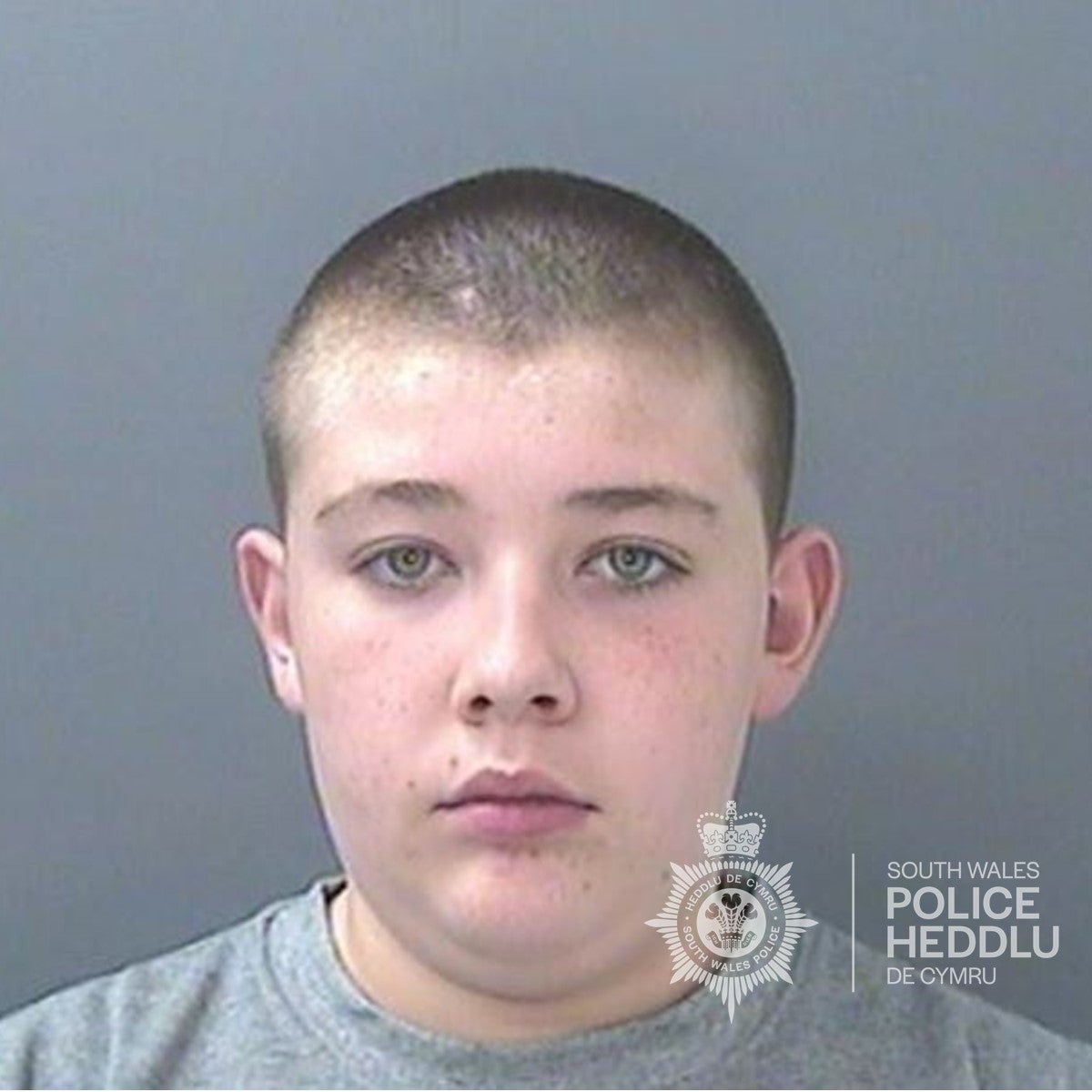 Craig Mulligan, 14, was also sentenced for the murder of Logan Mwangi