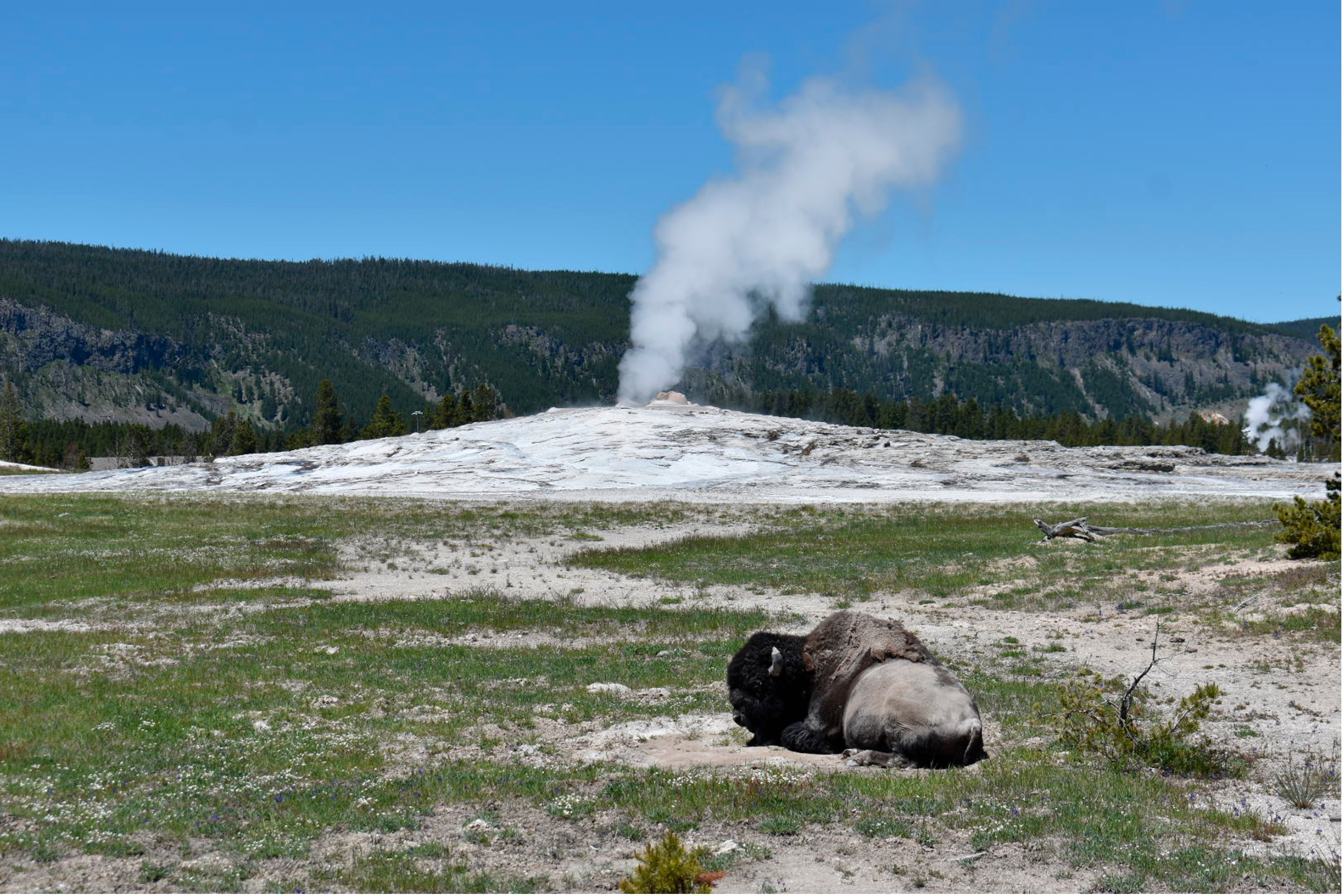Yellowstone National Park Flooding