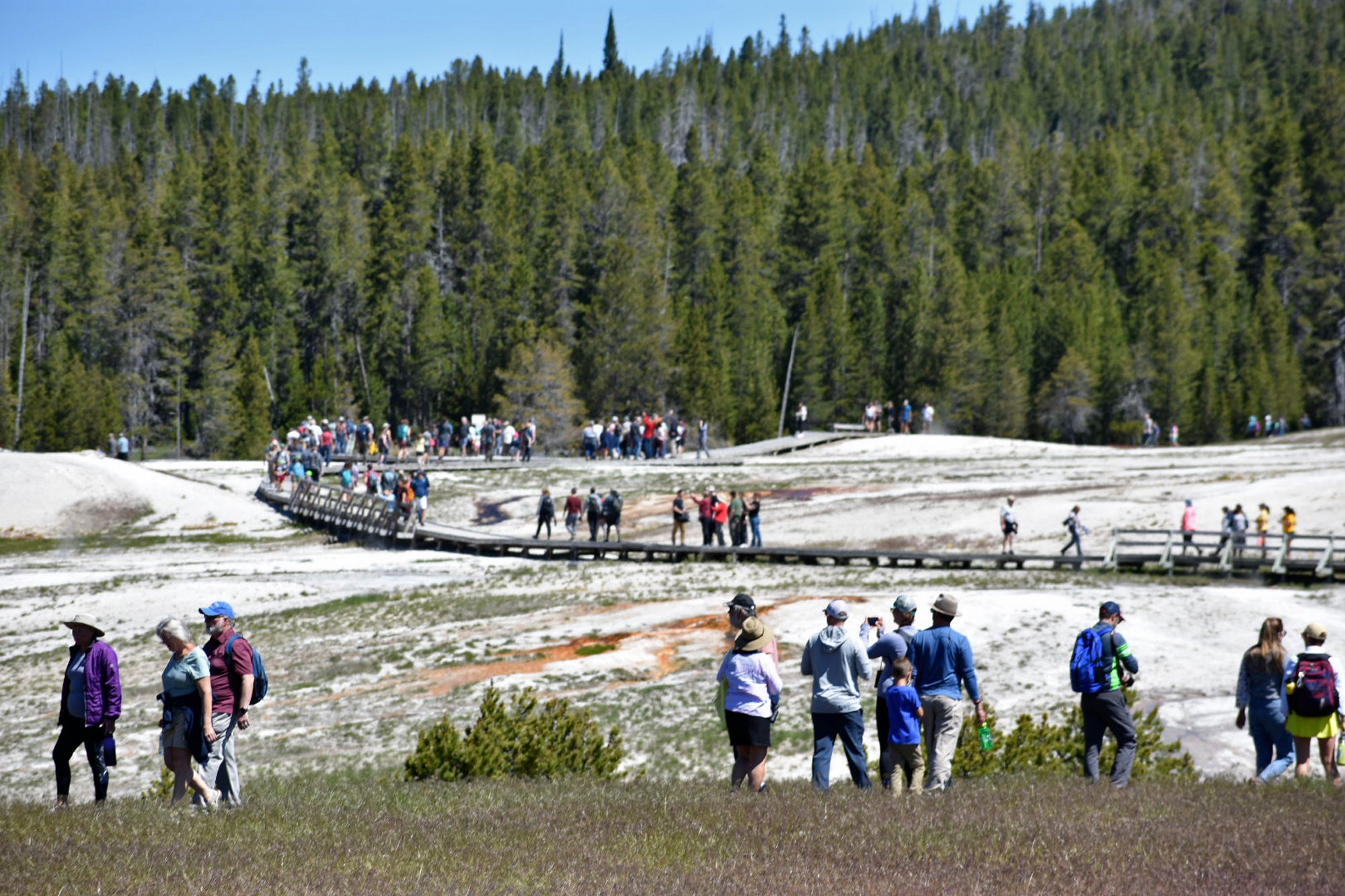Yellowstone National Park Flooding