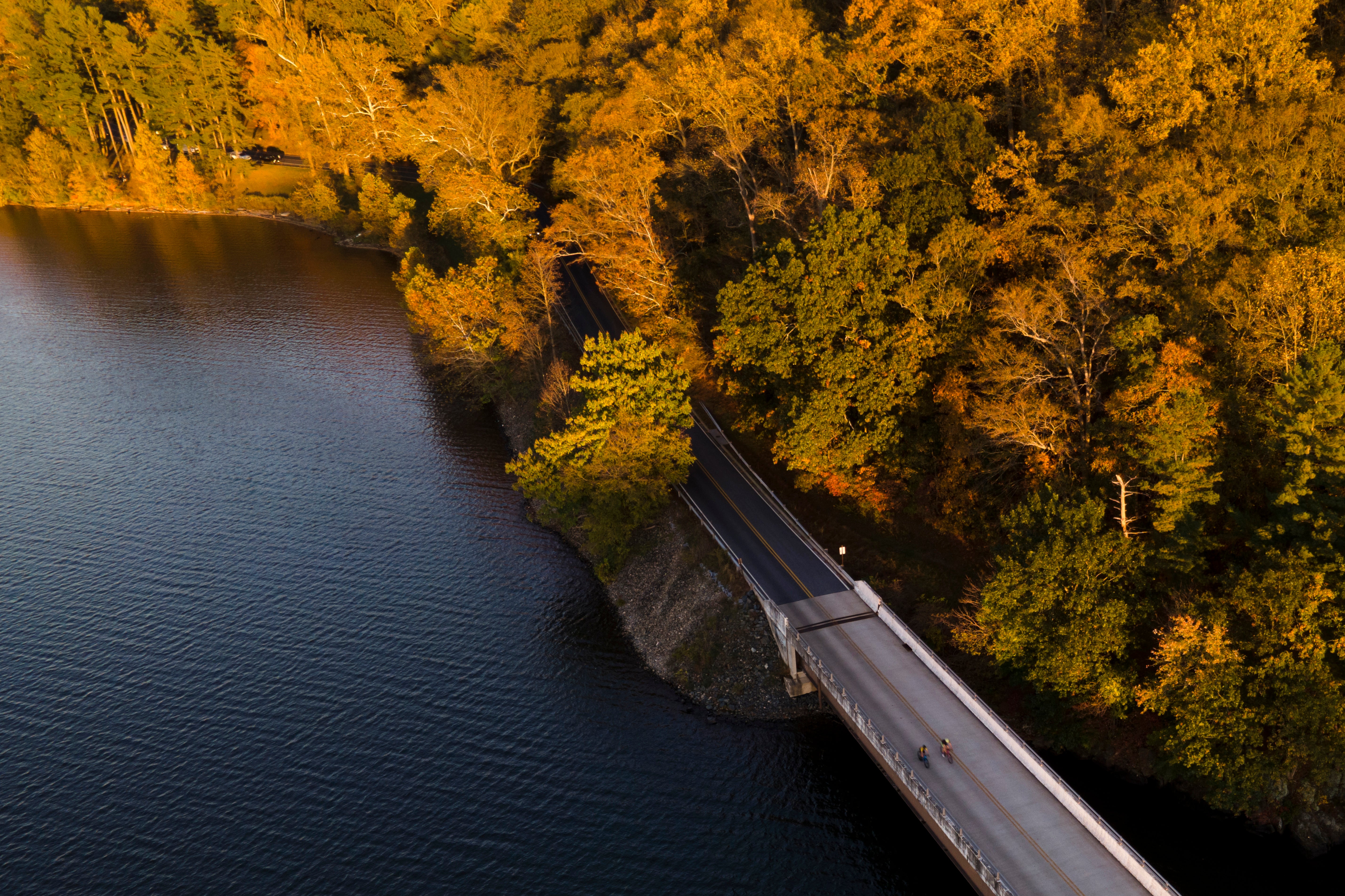 Federal Regulations Morning to Night