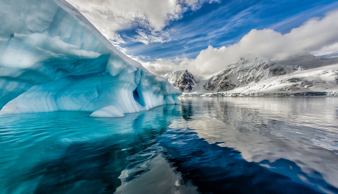 Researchers had been observing Antarctic fish for a decade