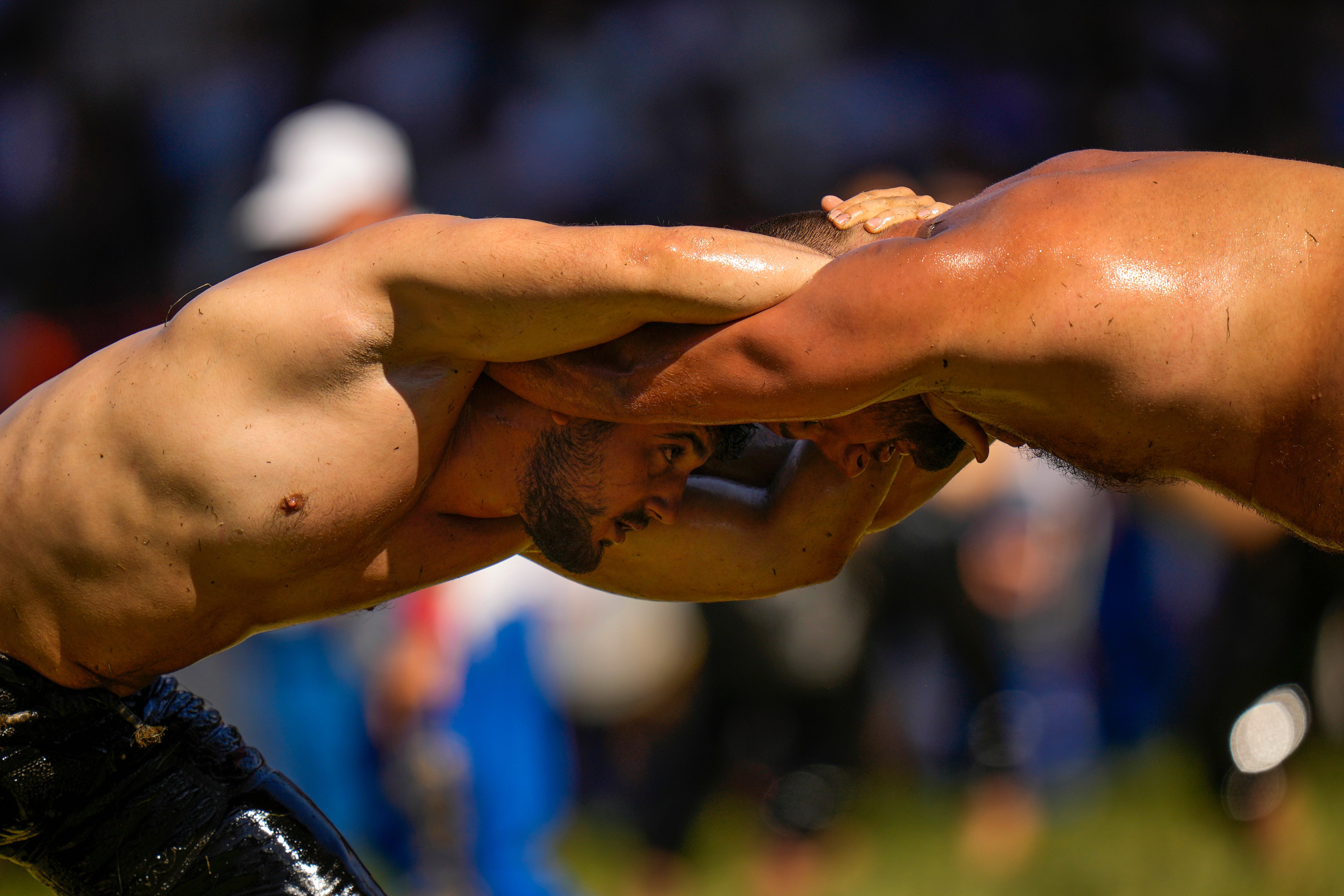 Turkey Oil Wrestling Photo Gallery