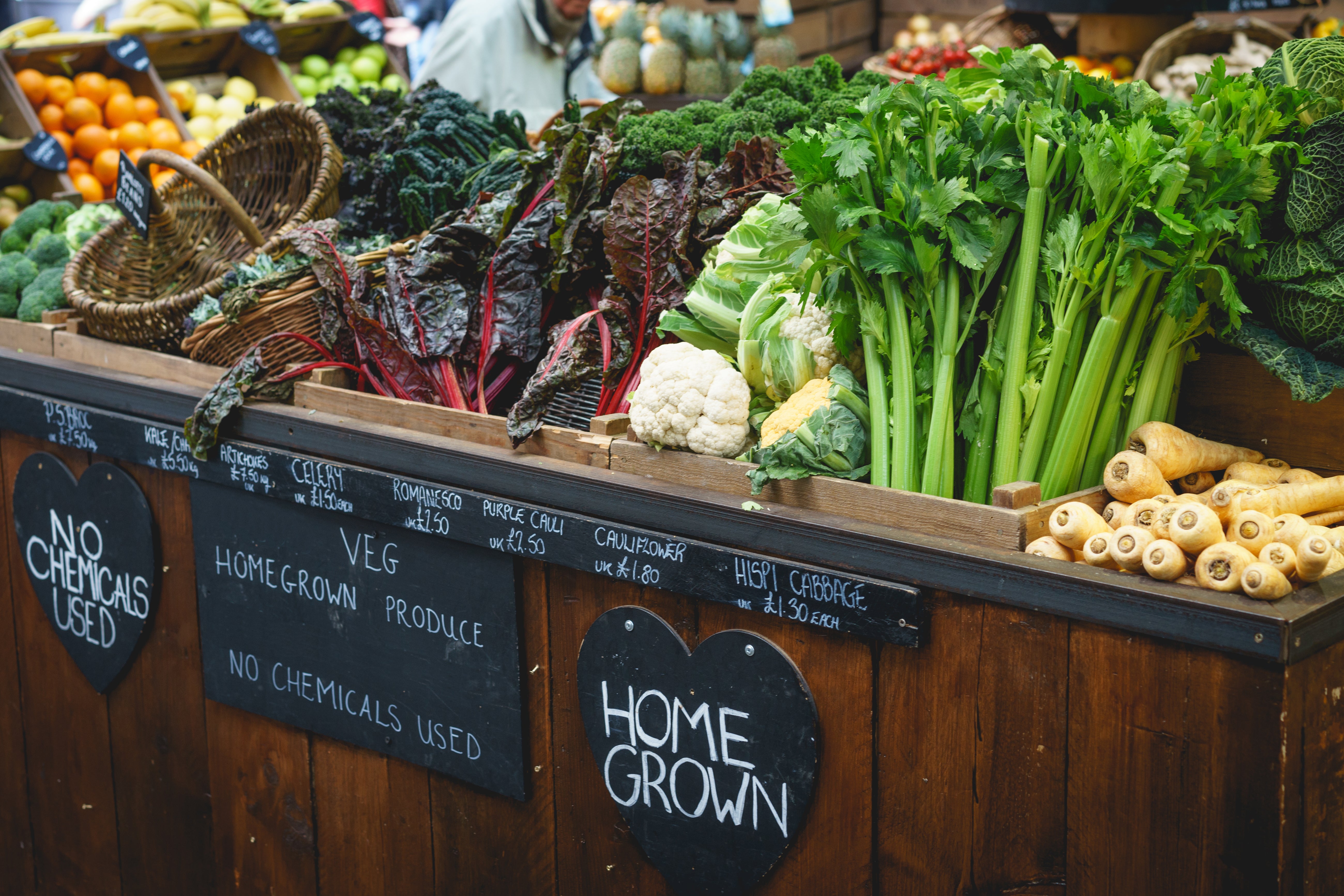 A shortage in the number of workers on British farms has left tonnes of unpicked food, costing millions of pounds as food inflation soars