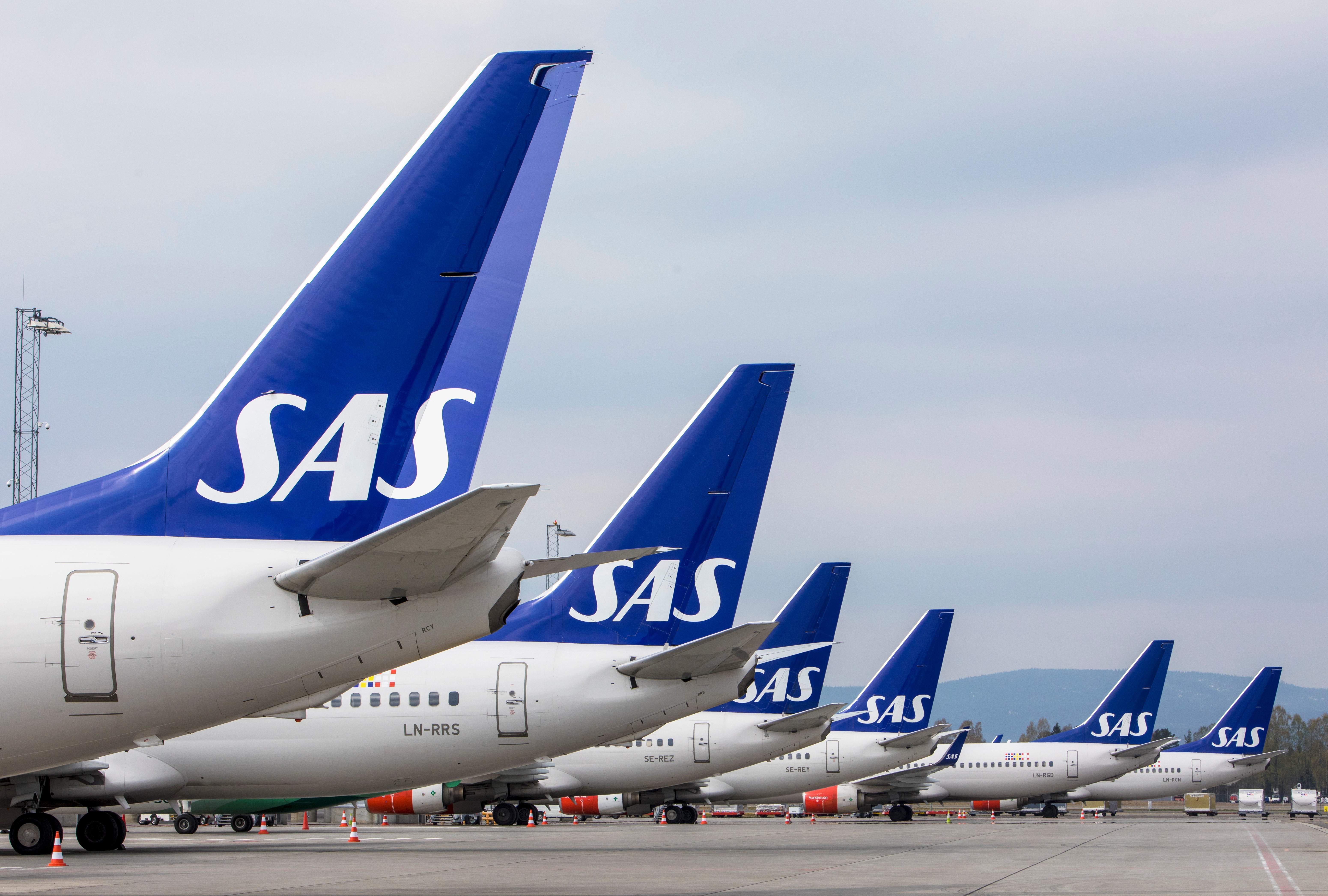 SAS Bankruptcy Protection