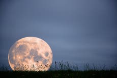 Stargazing in July: Don’t let the giant moon fool you