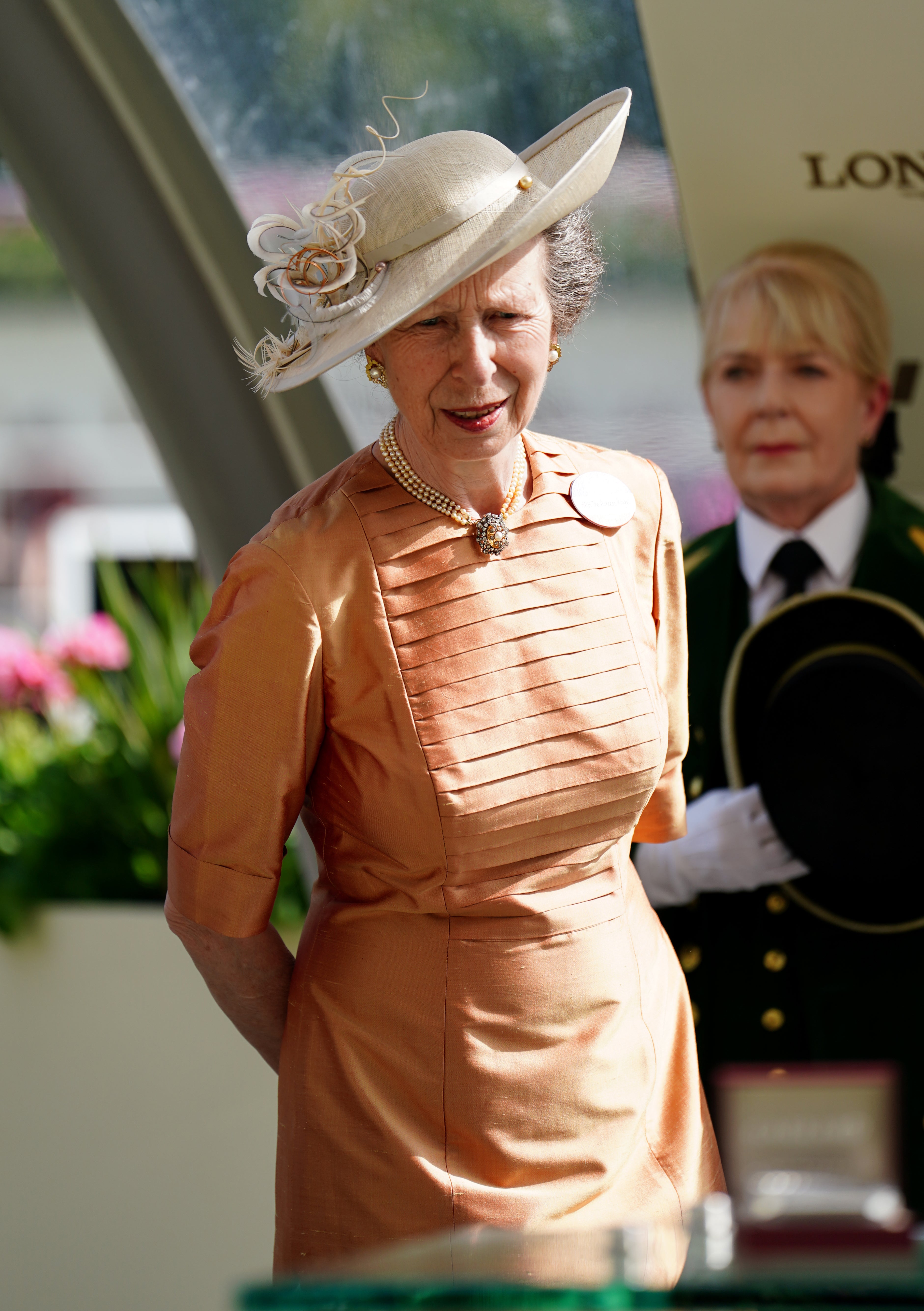 The Princess Royal (David Davies/PA)