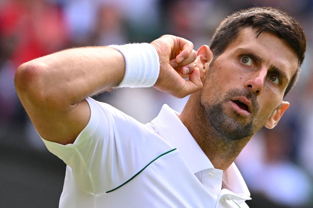 Ear we go: Djokovic reacts to the Centre Court crowd