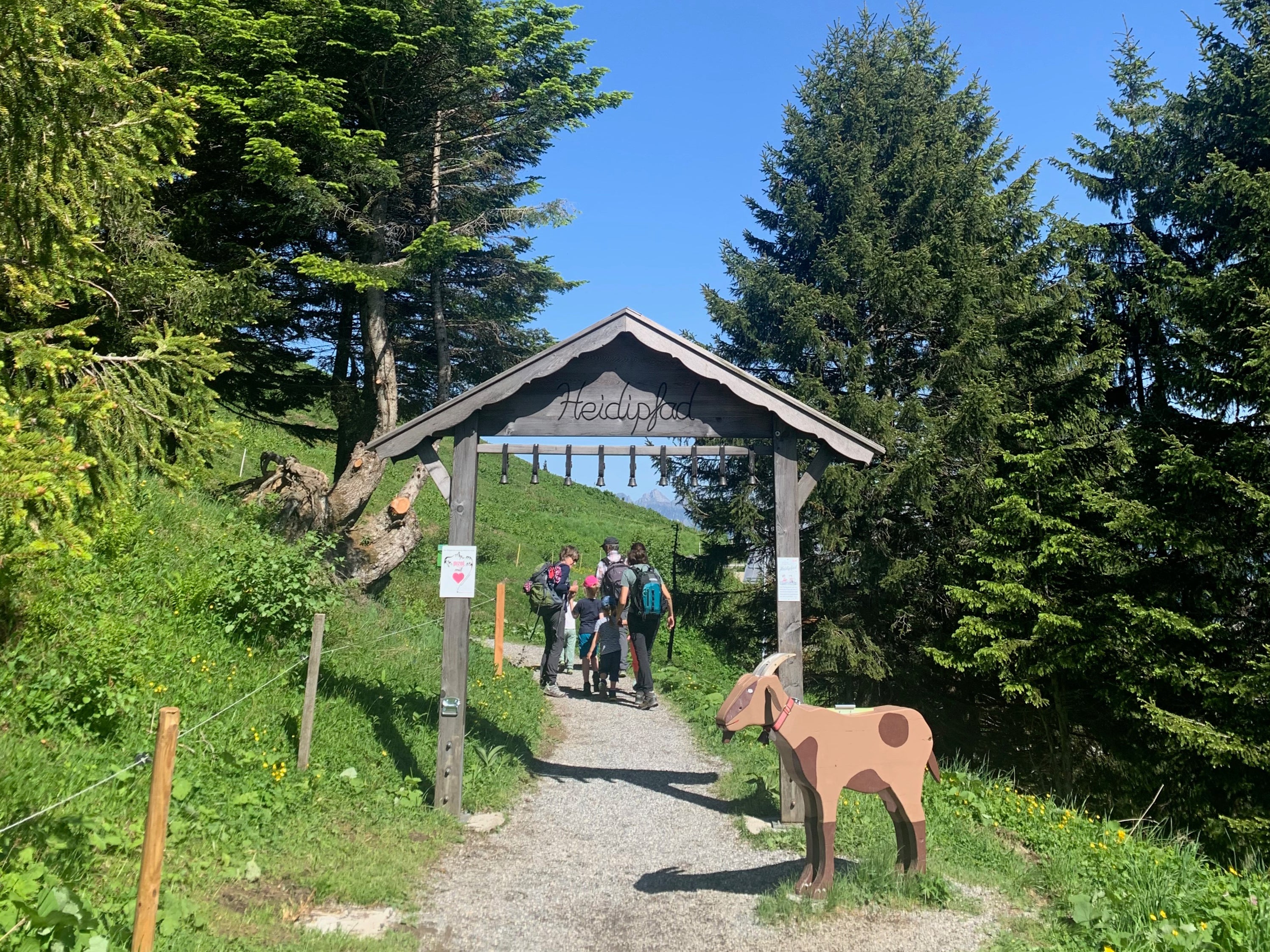 Hiking the Heidi trail