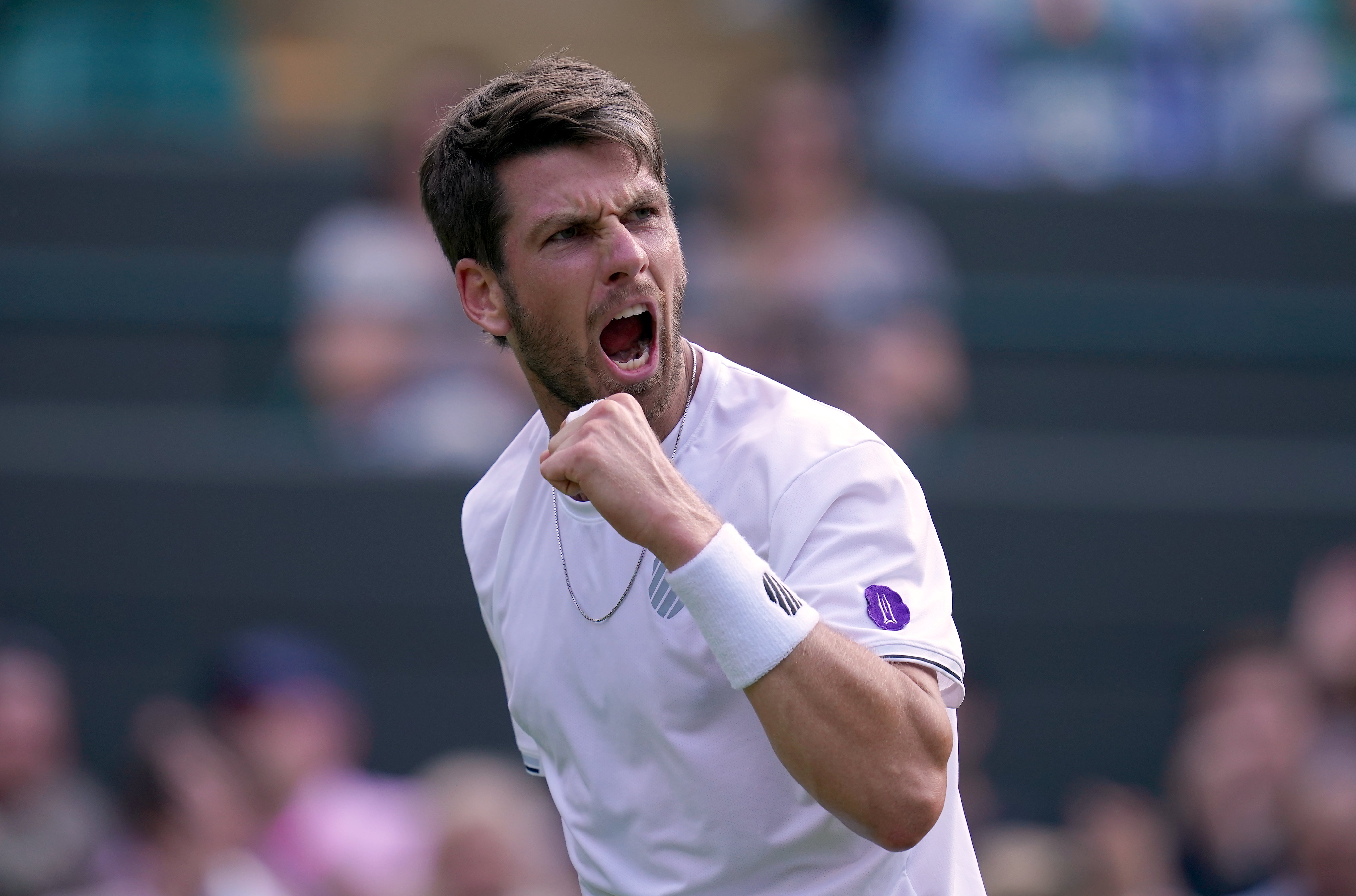 Cameron Norrie will try to continue his brilliant run by beating Novak Djokovic on Friday (John Walton/PA)