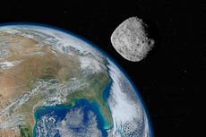 How Nasa’s Dart mission could save Earth from rogue asteroids