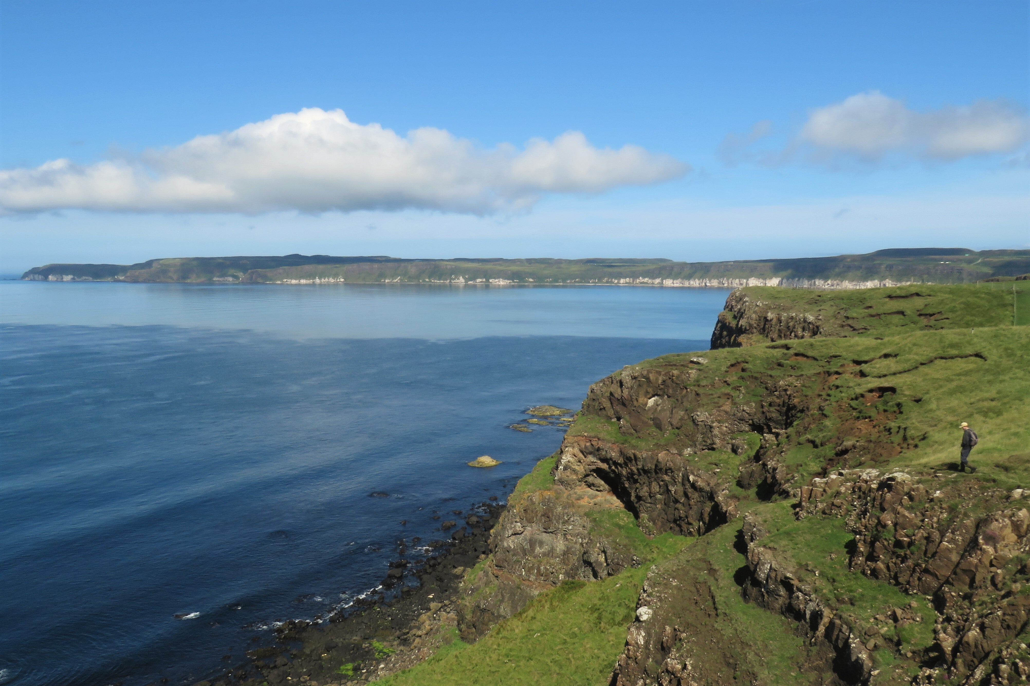 Bird flu has been detected in a number of wild sea birds on Rathlin Island (PA)