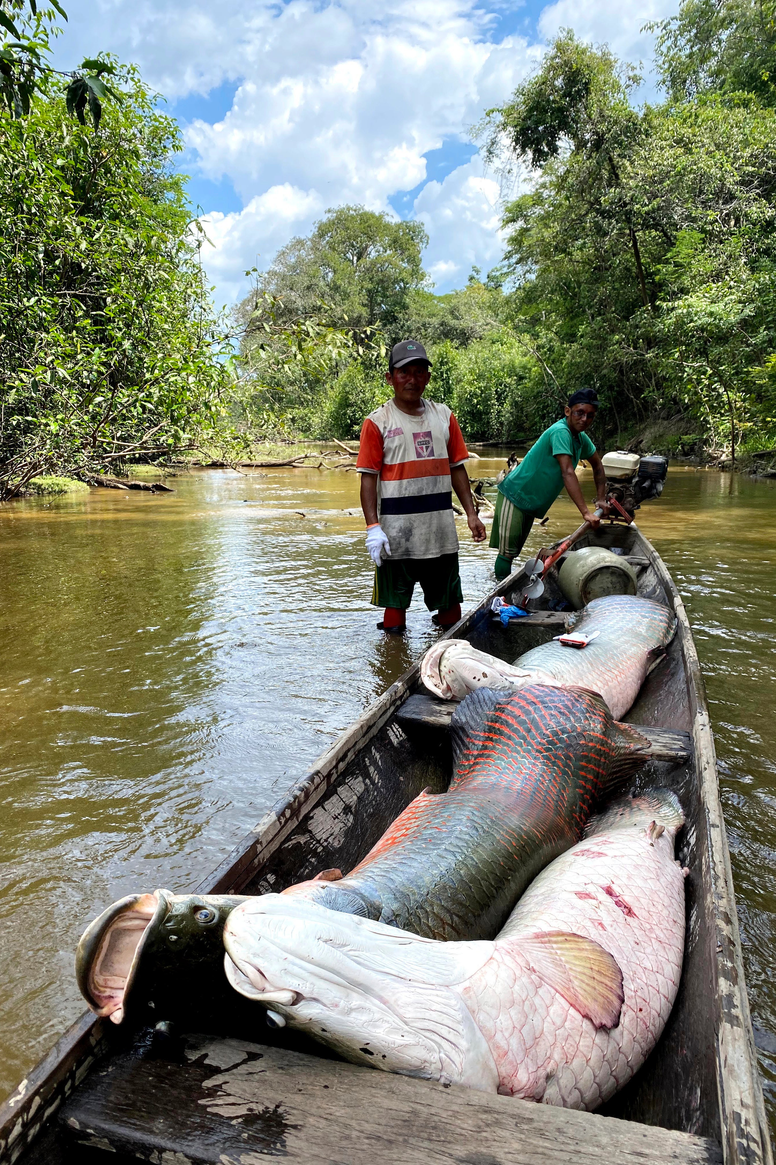 Climate Wild Species Report