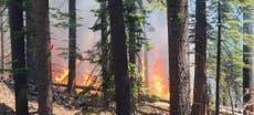 Wildfire rages near Yosemite’s famous giant sequoia trees