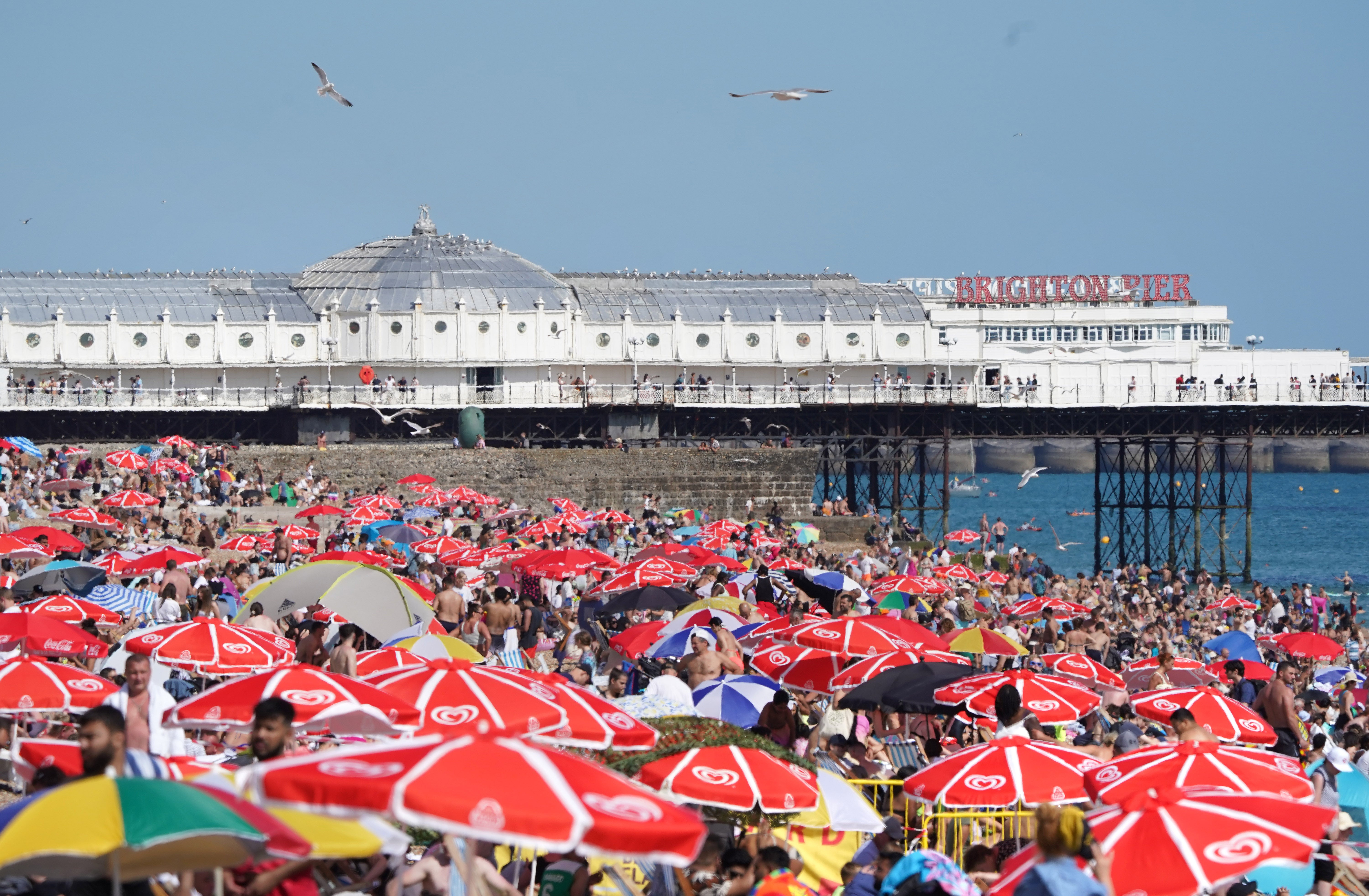 People enjoy the warm weather at Brighton beach on Sunday 10 July